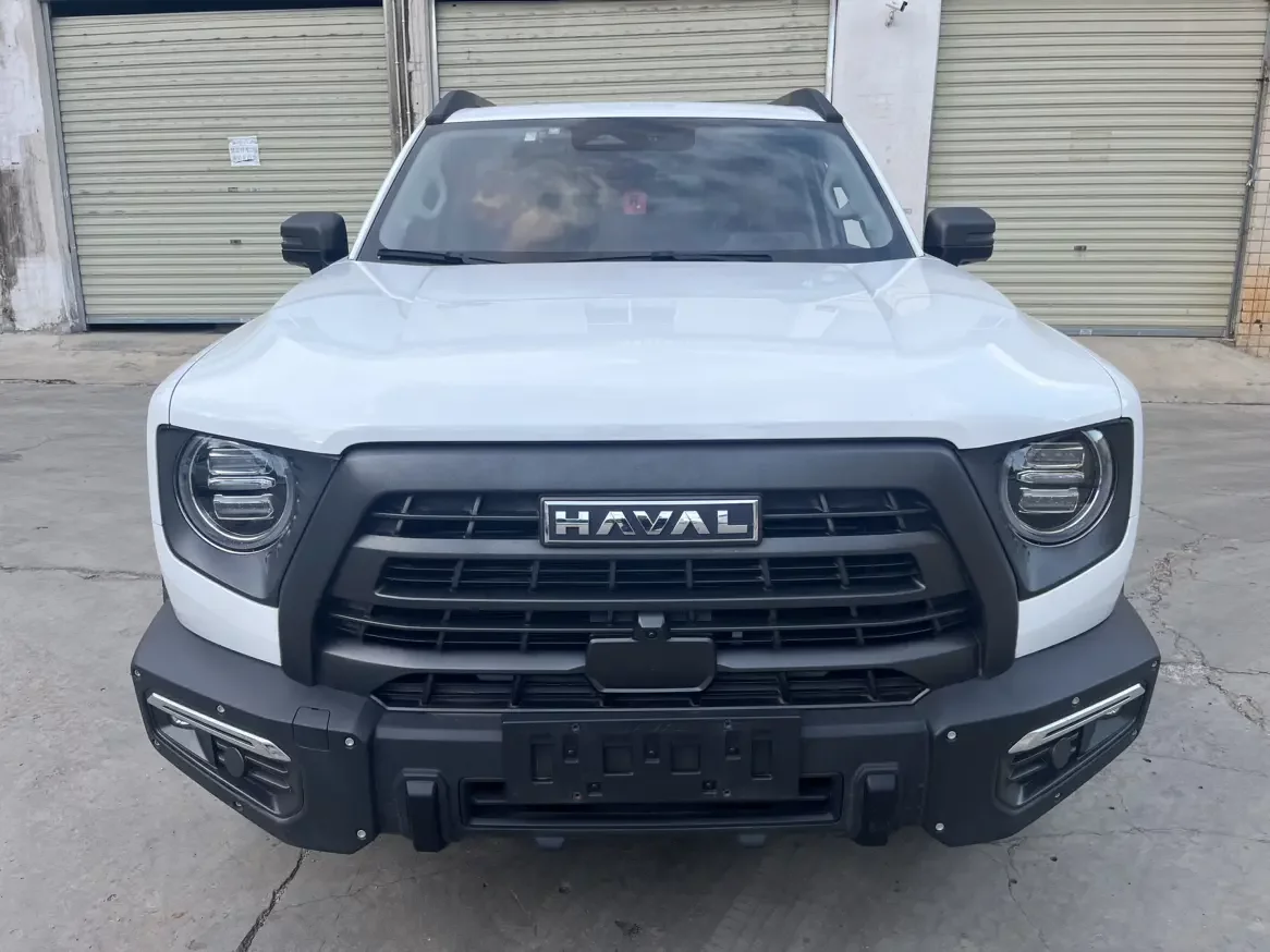Haval Dargo