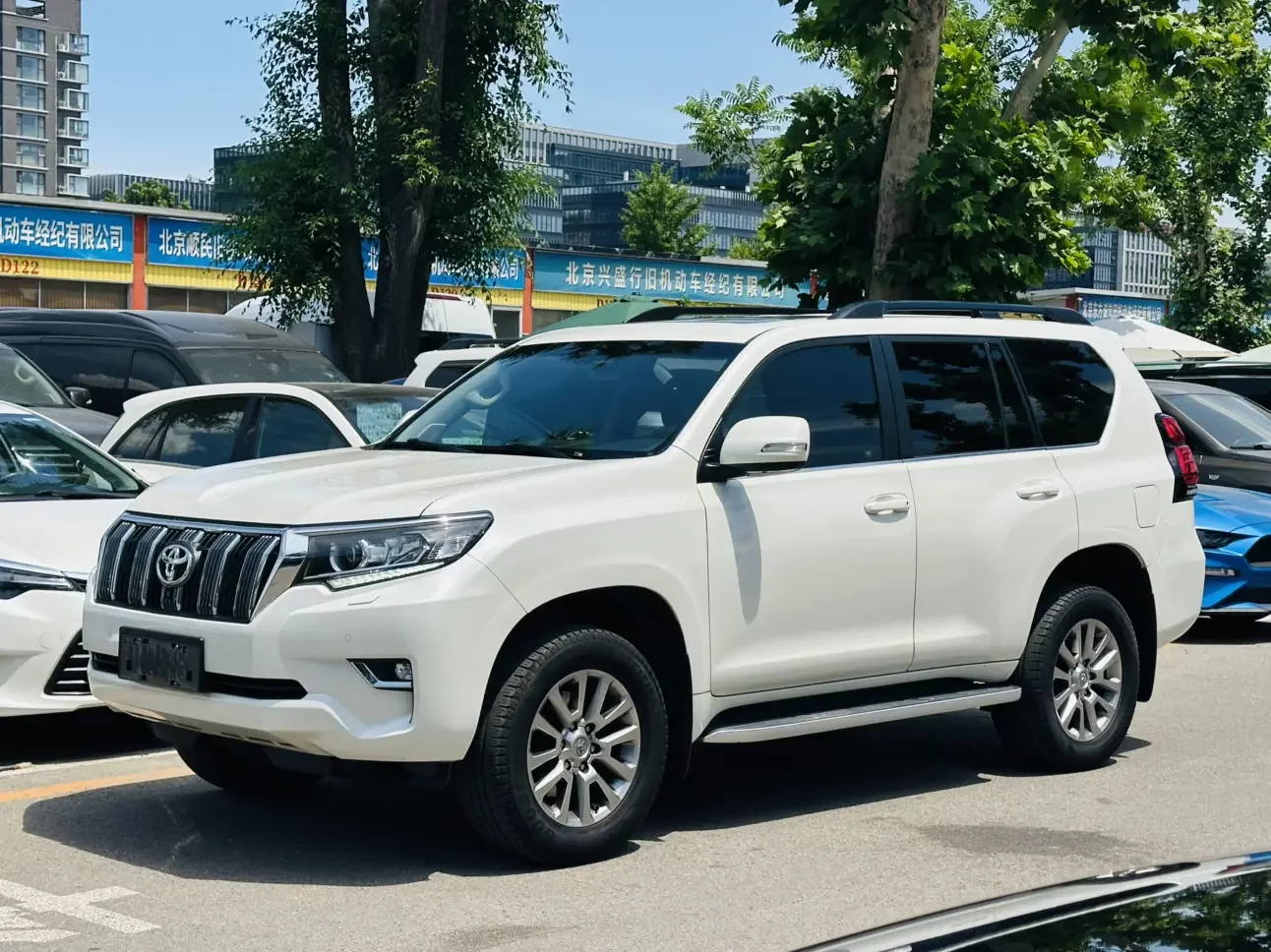 Toyota prado