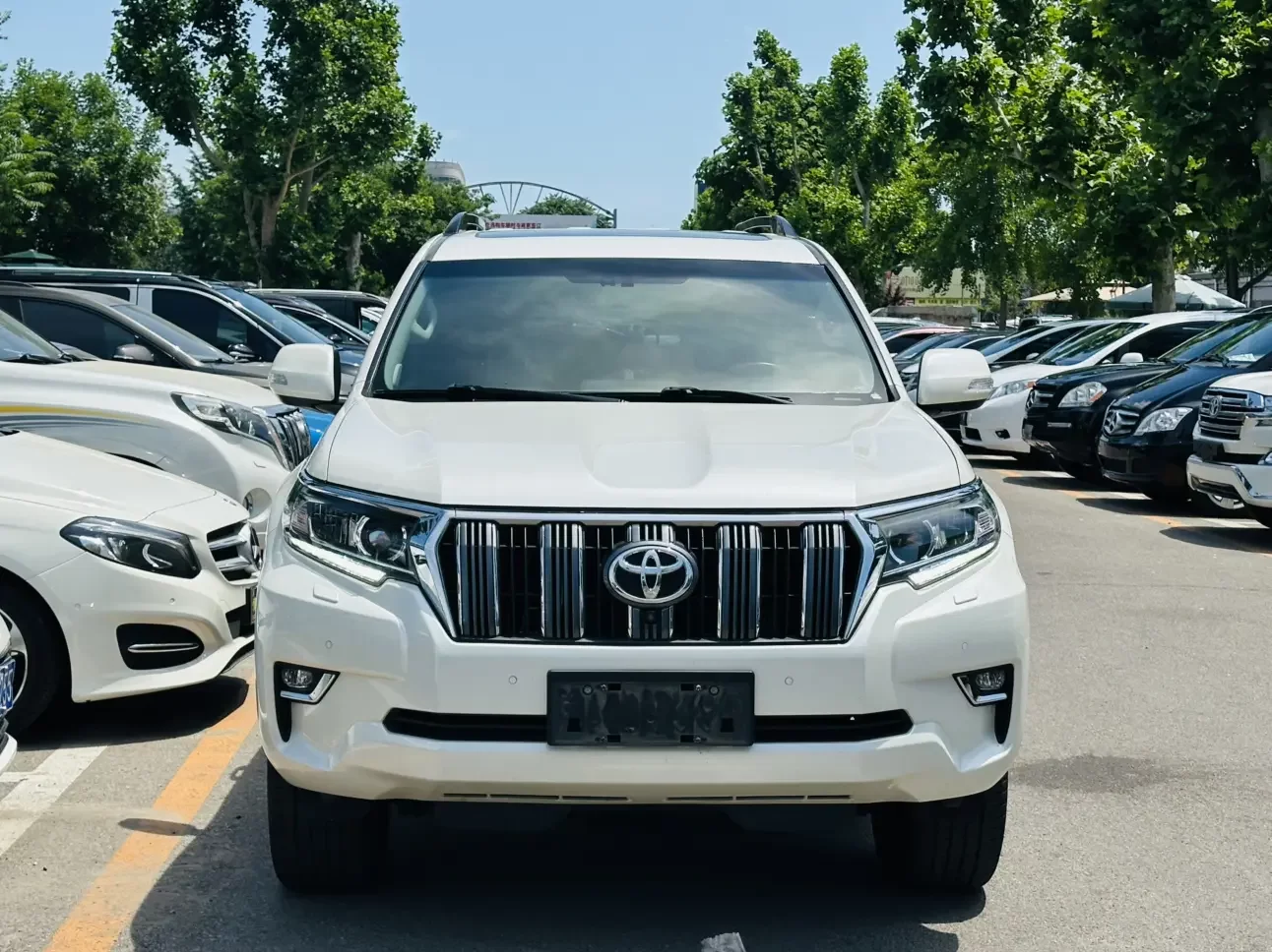 Toyota prado