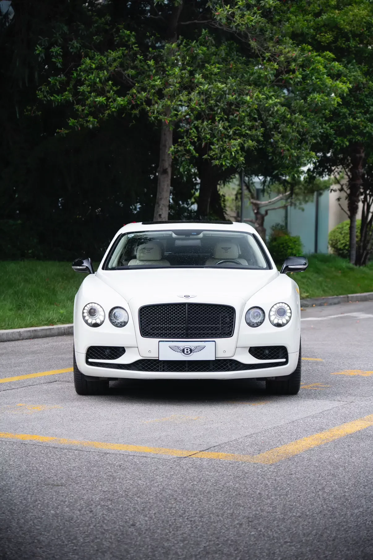 Bentley galloping