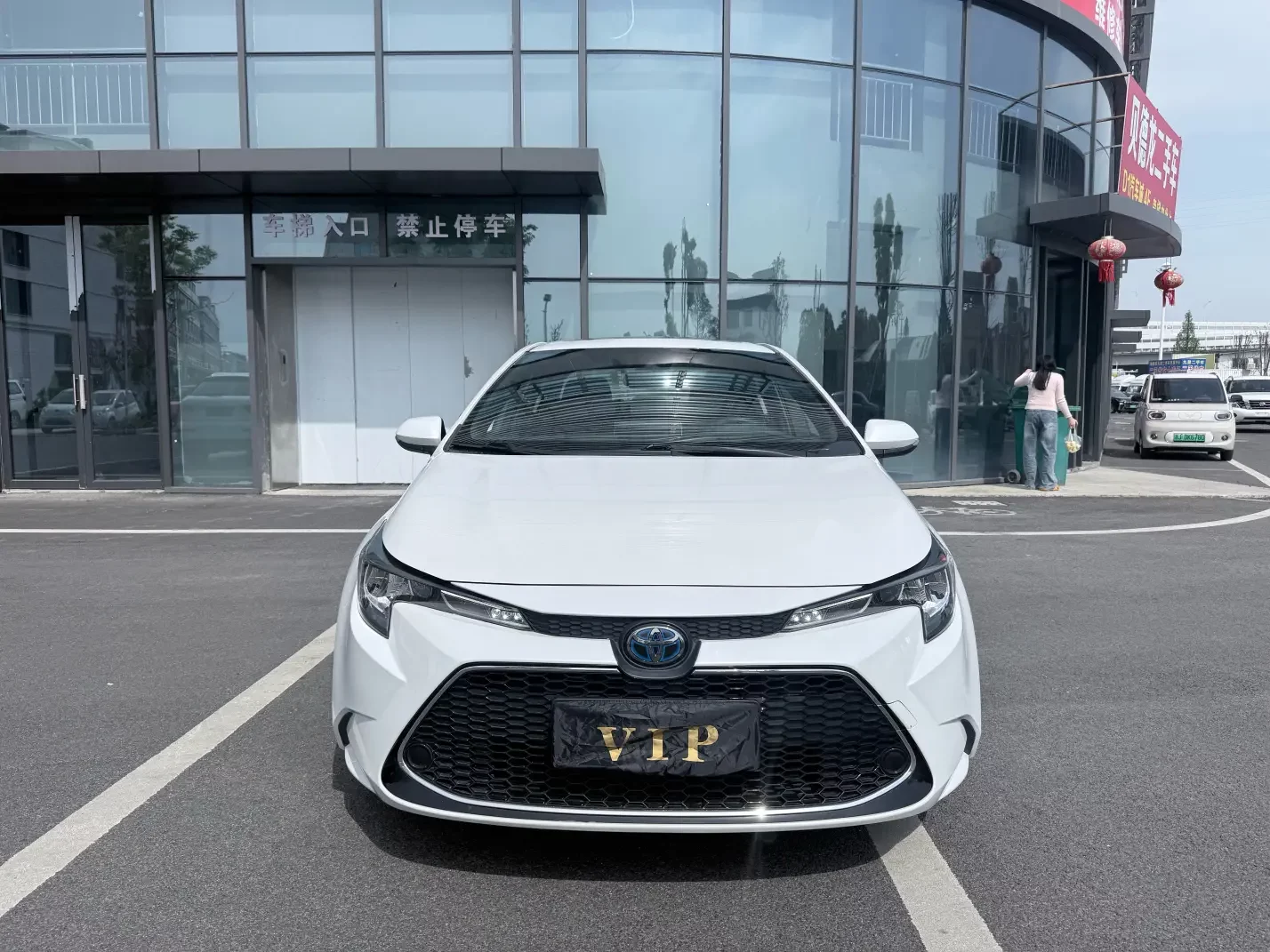 Toyota Levin