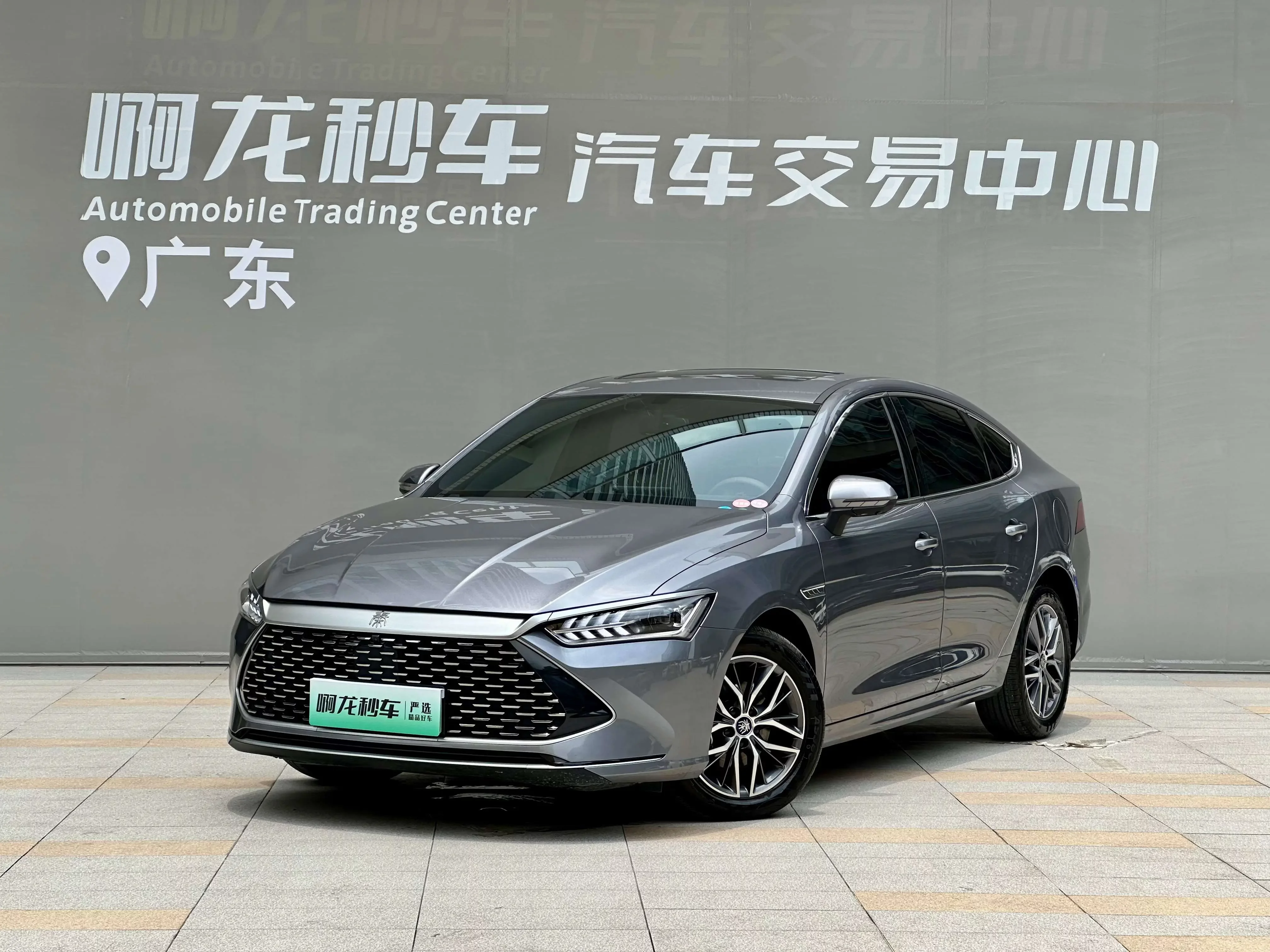 BYD Qin PLUS DM
