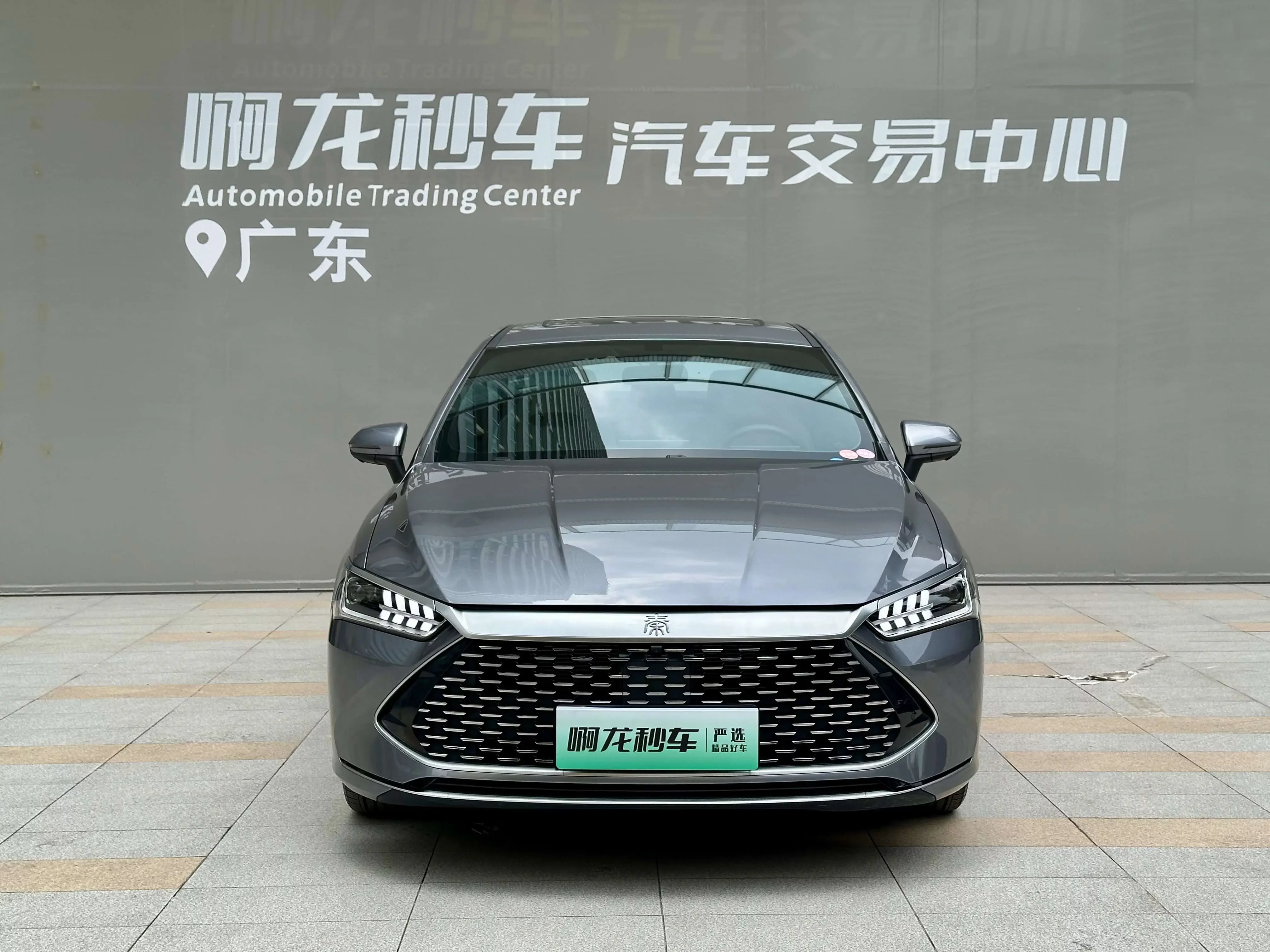 BYD Qin PLUS DM