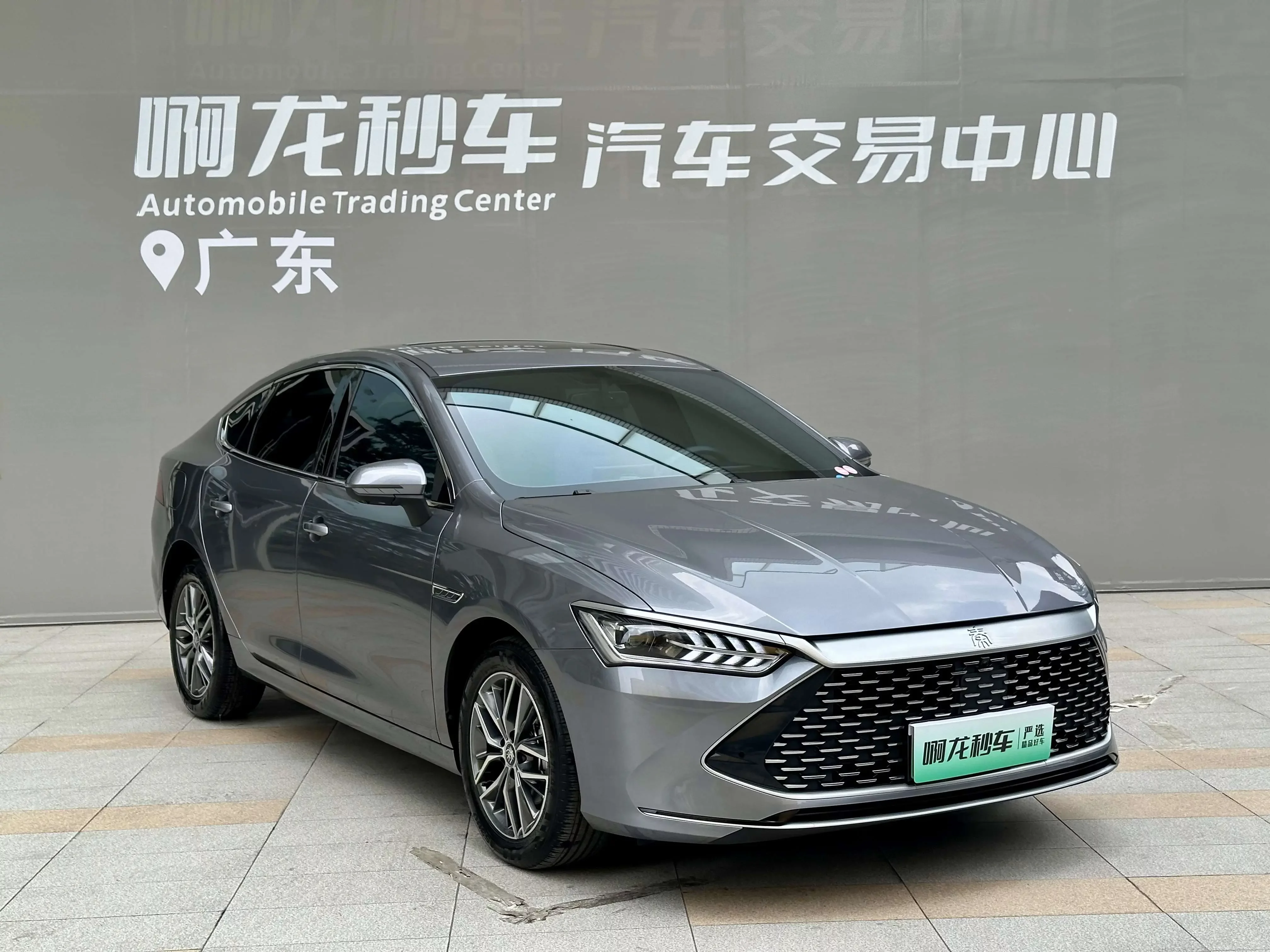 BYD Qin PLUS DM