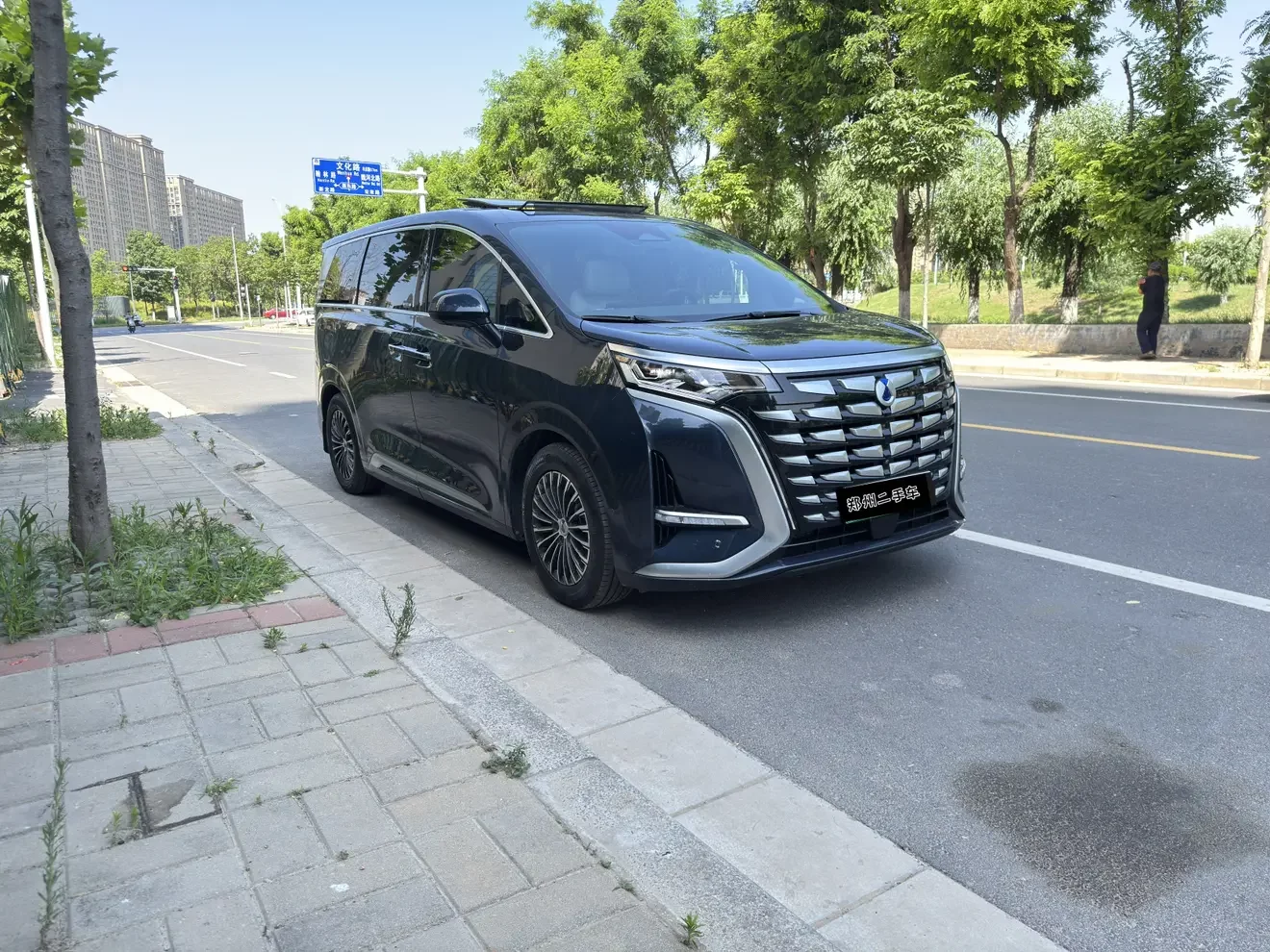 Denza D9 DM
