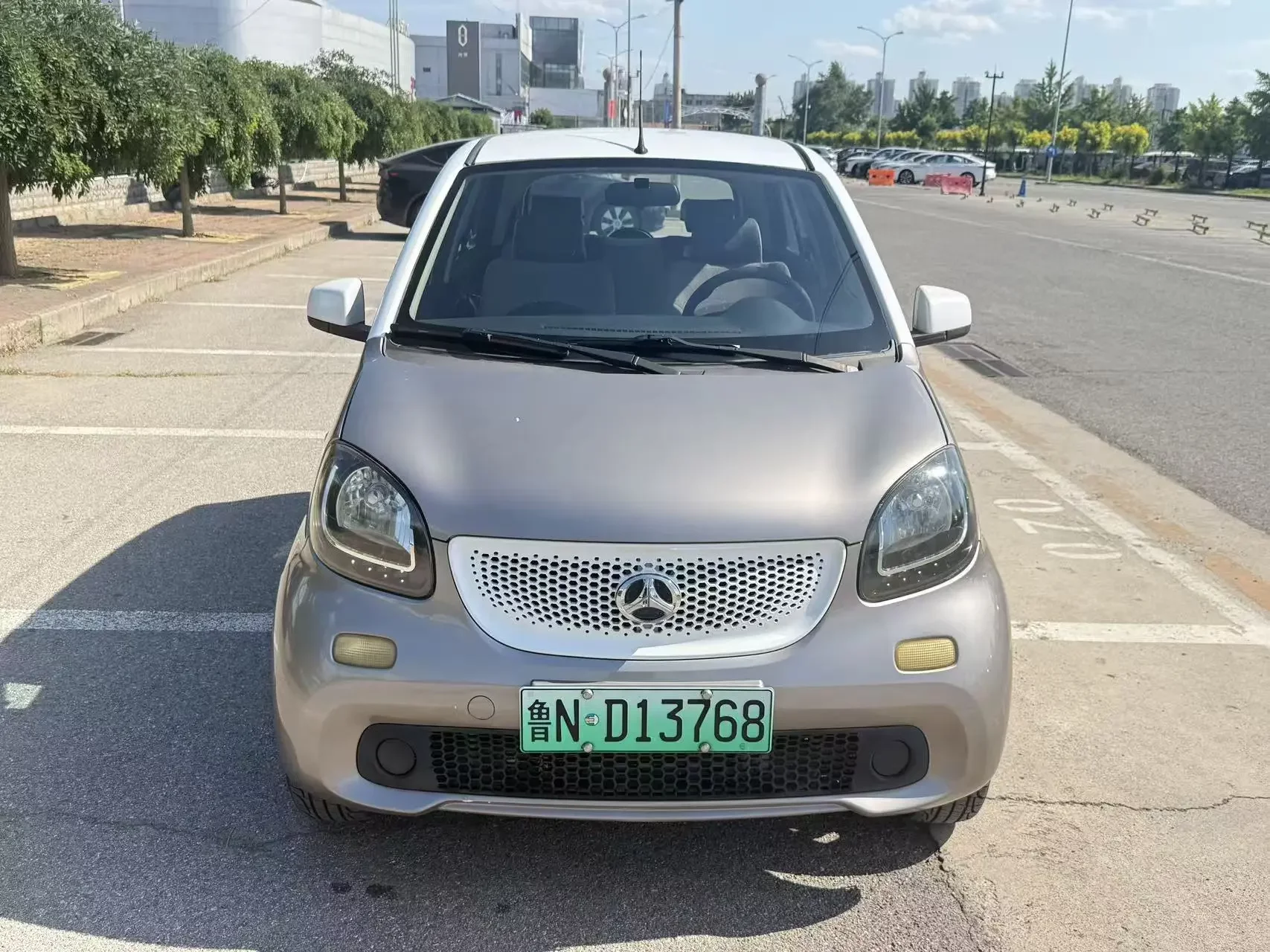 BAW BAIC Big Cat