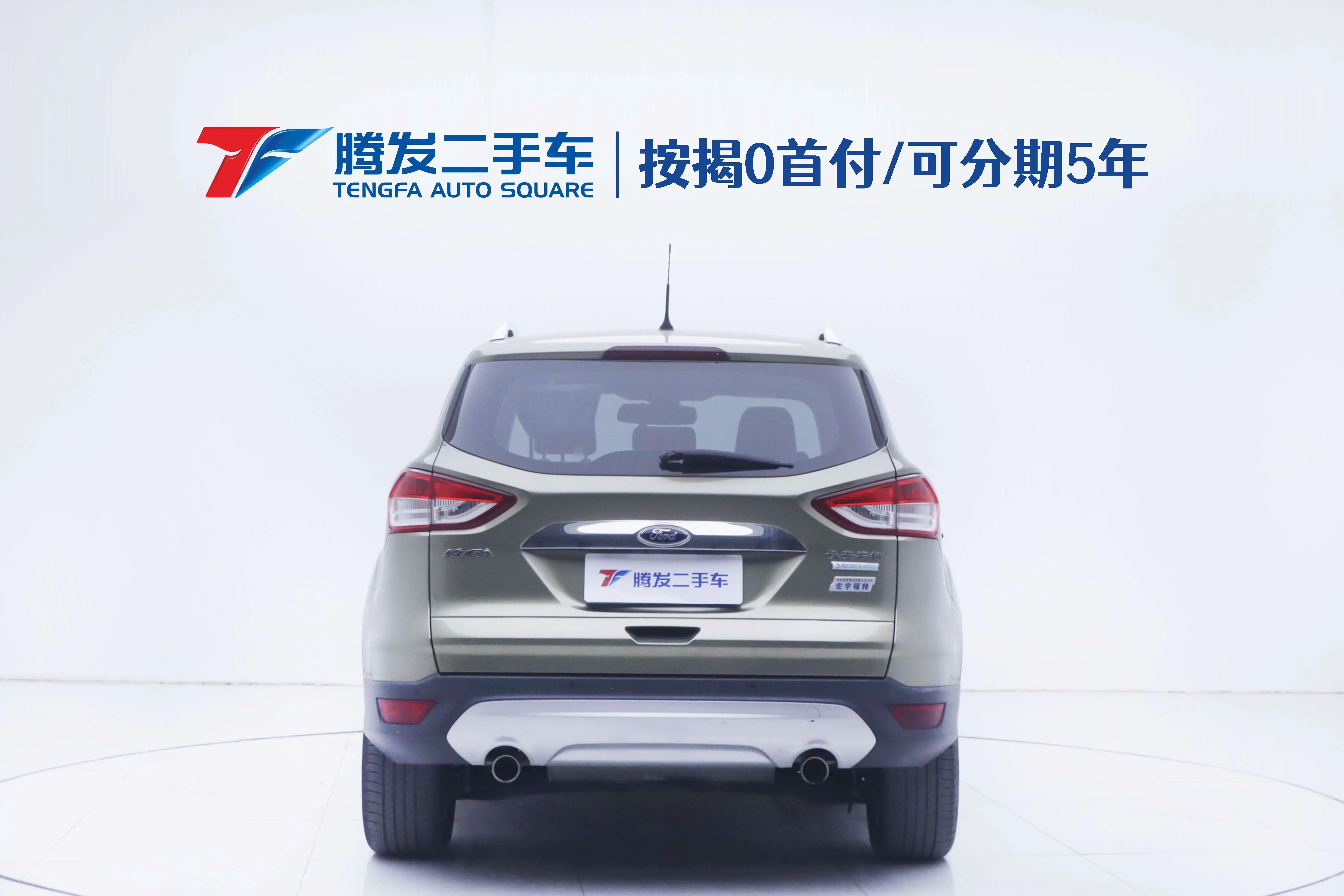 Ford wing tiger