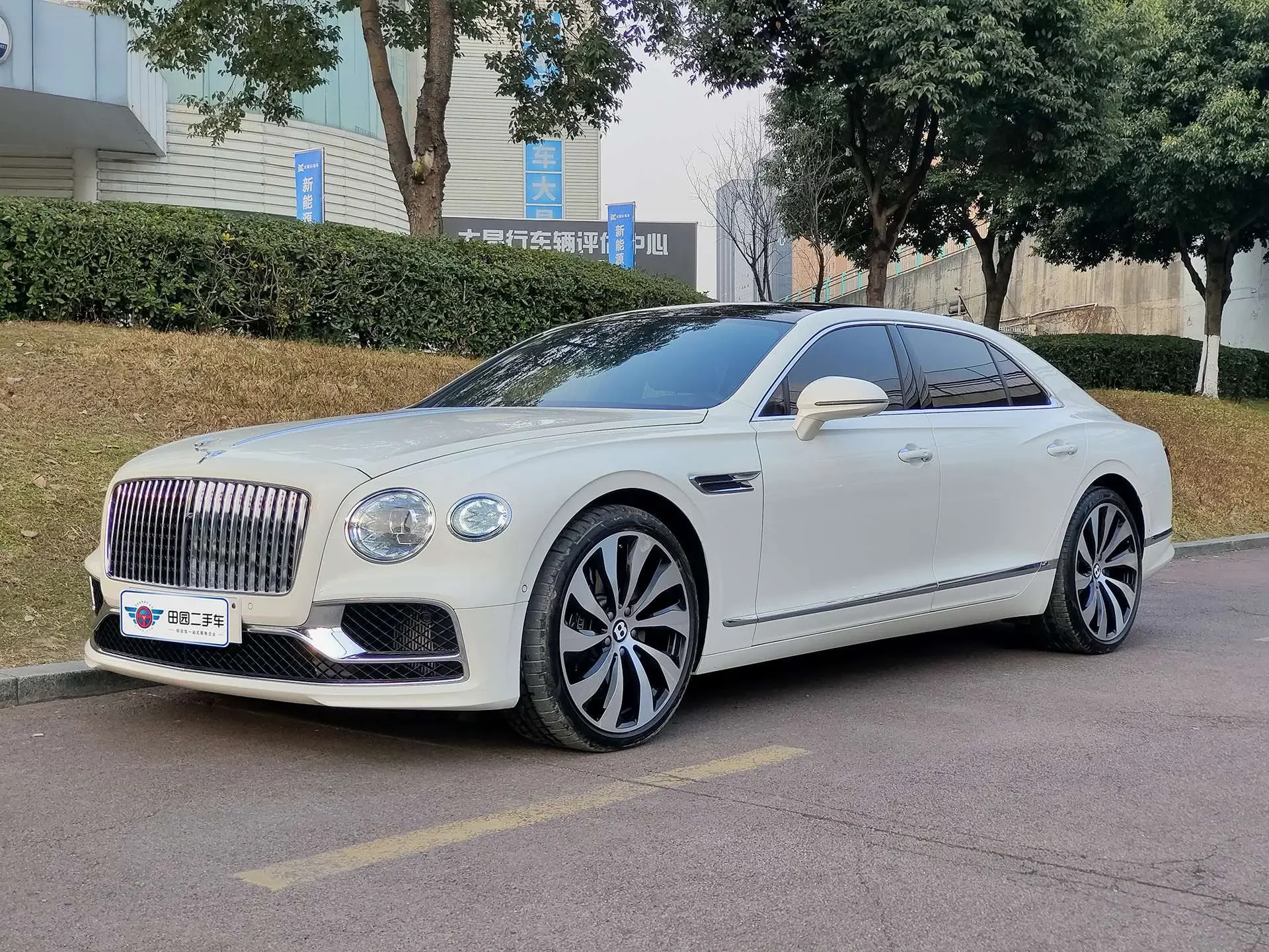 Bentley galloping