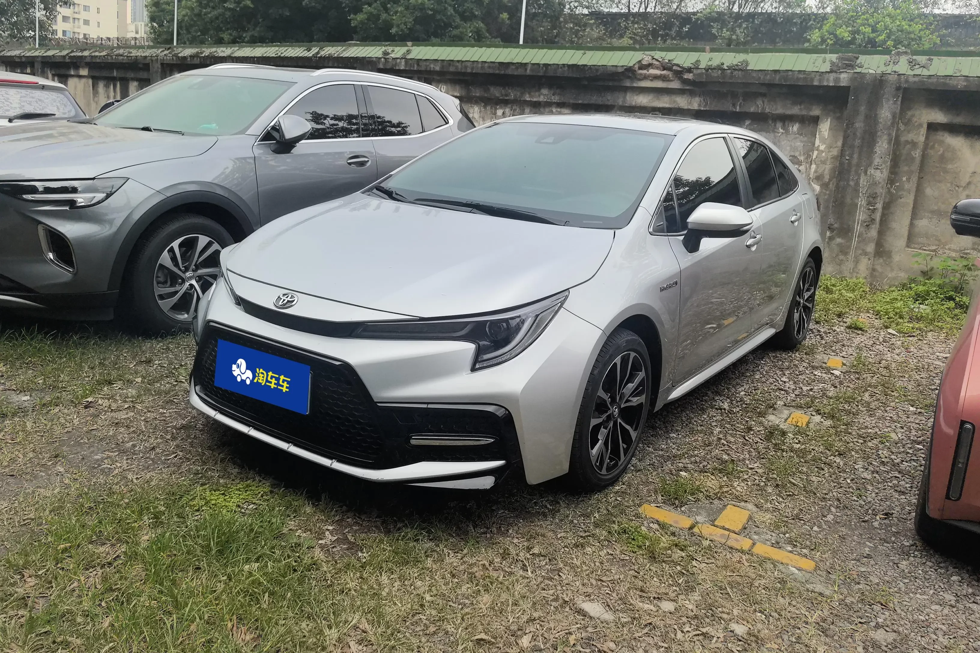 Toyota Levin