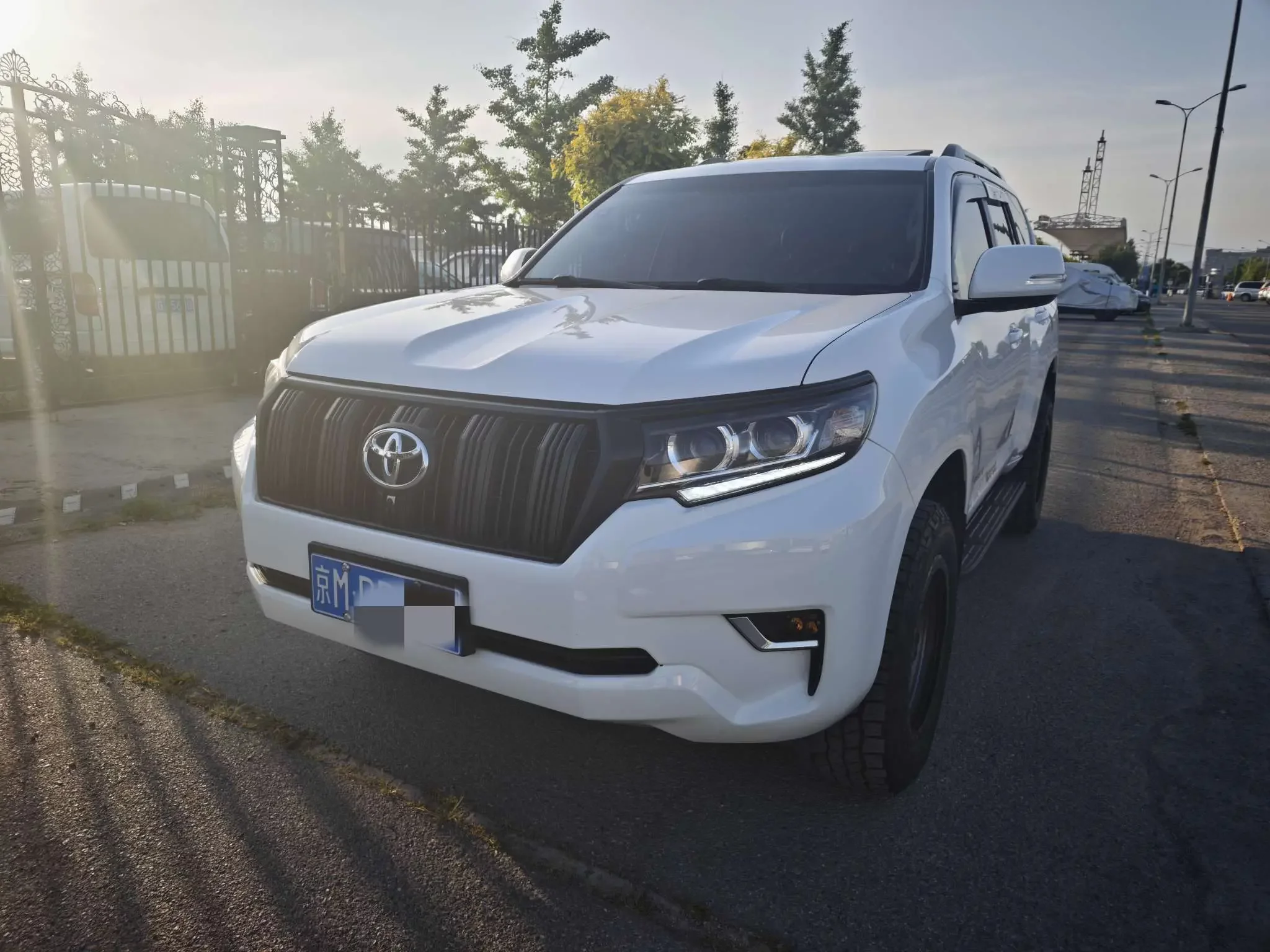 Toyota prado