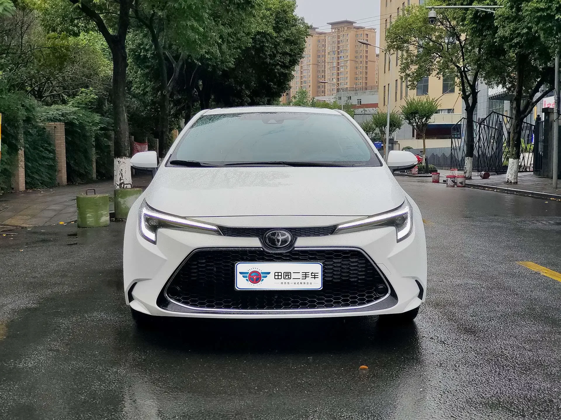 Toyota Levin