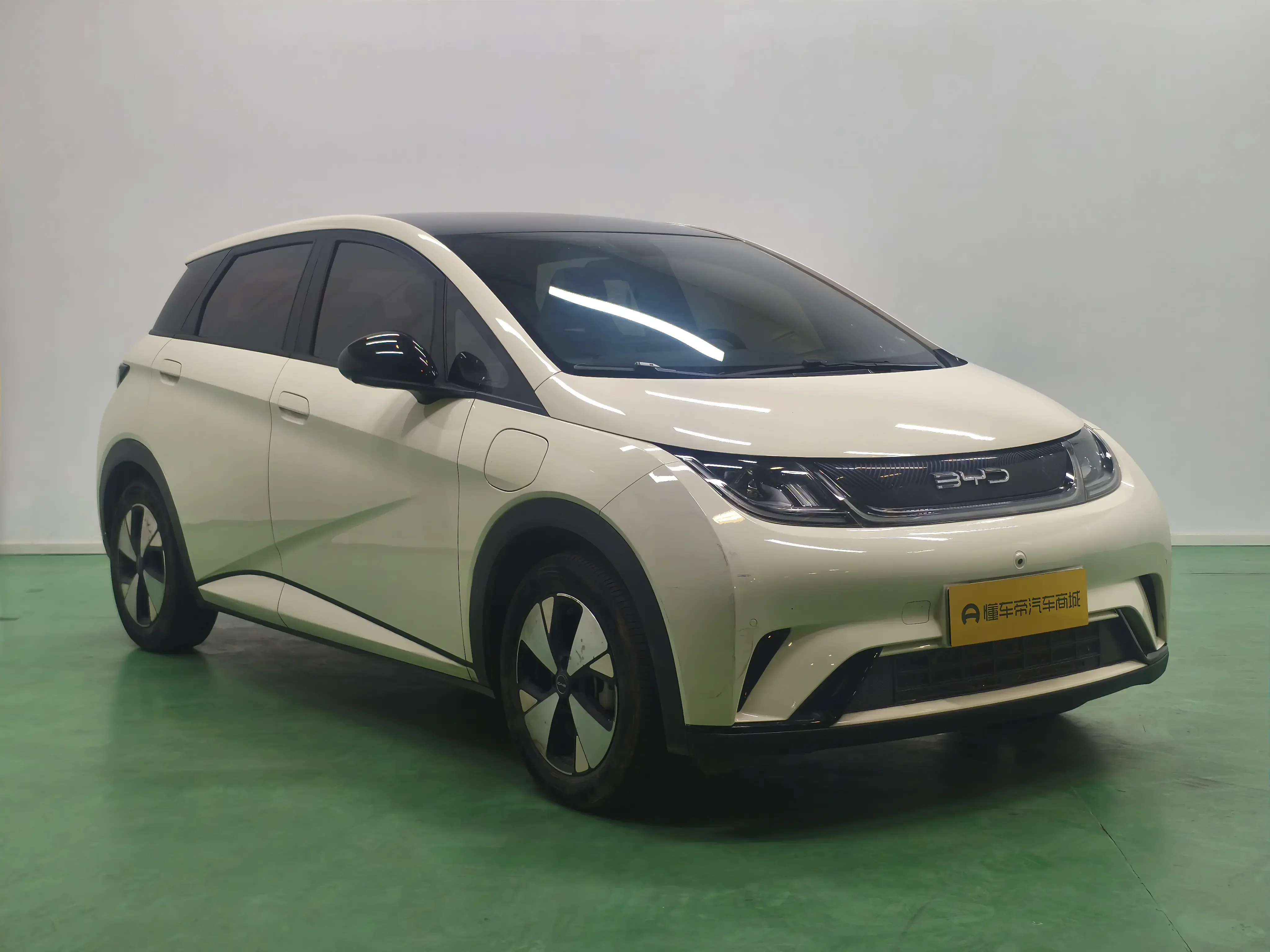 BYD dolphin