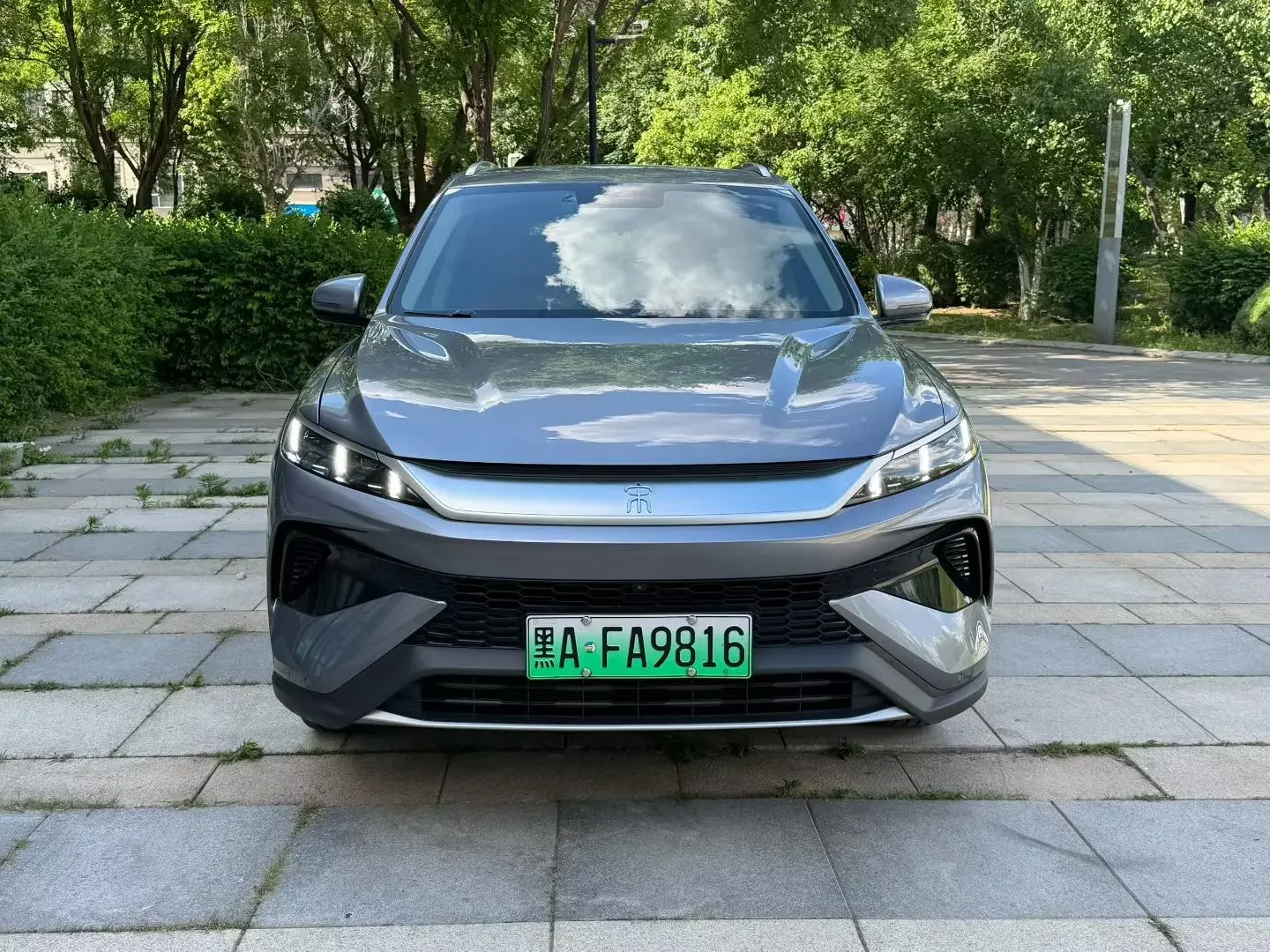 BYD Song Pro DM