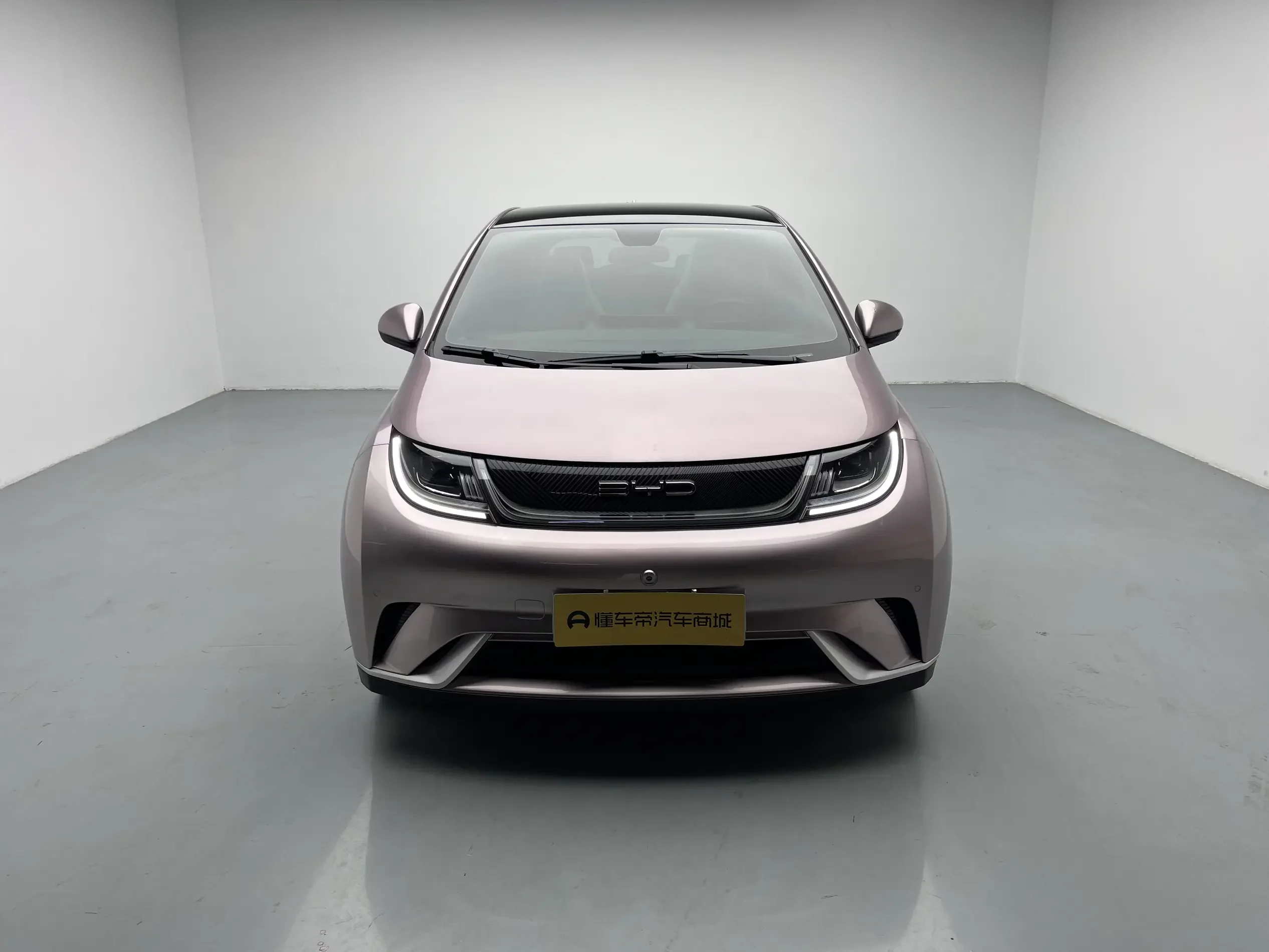 BYD dolphin