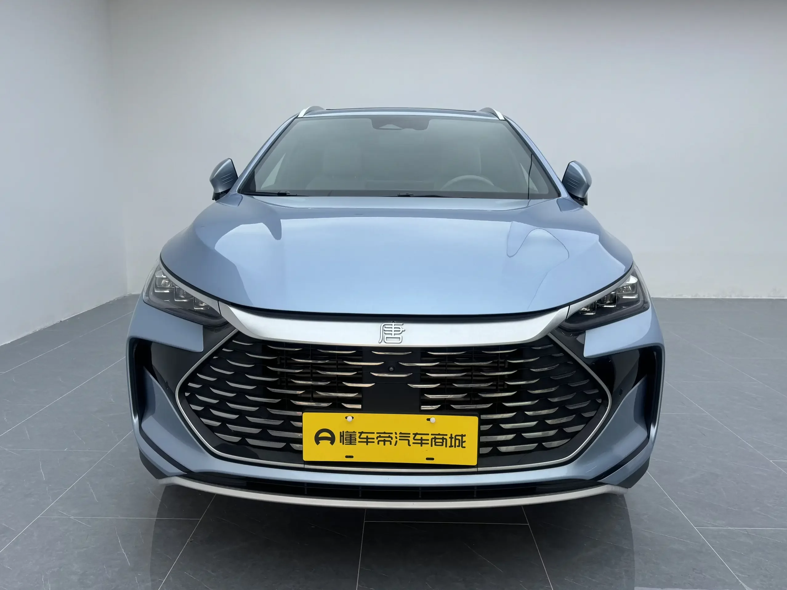 BYD Tang DM