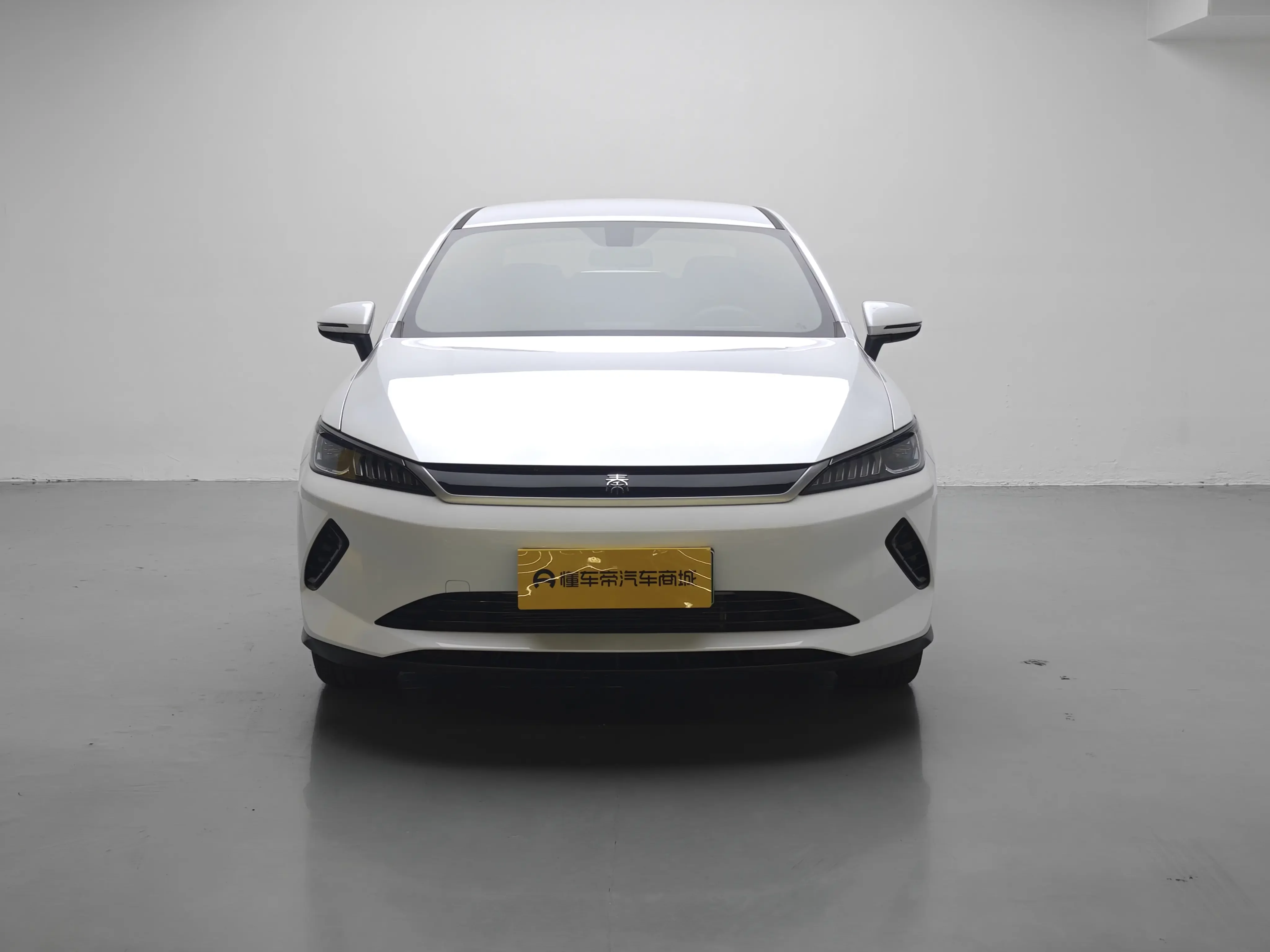 BYD Qin PLUS EV