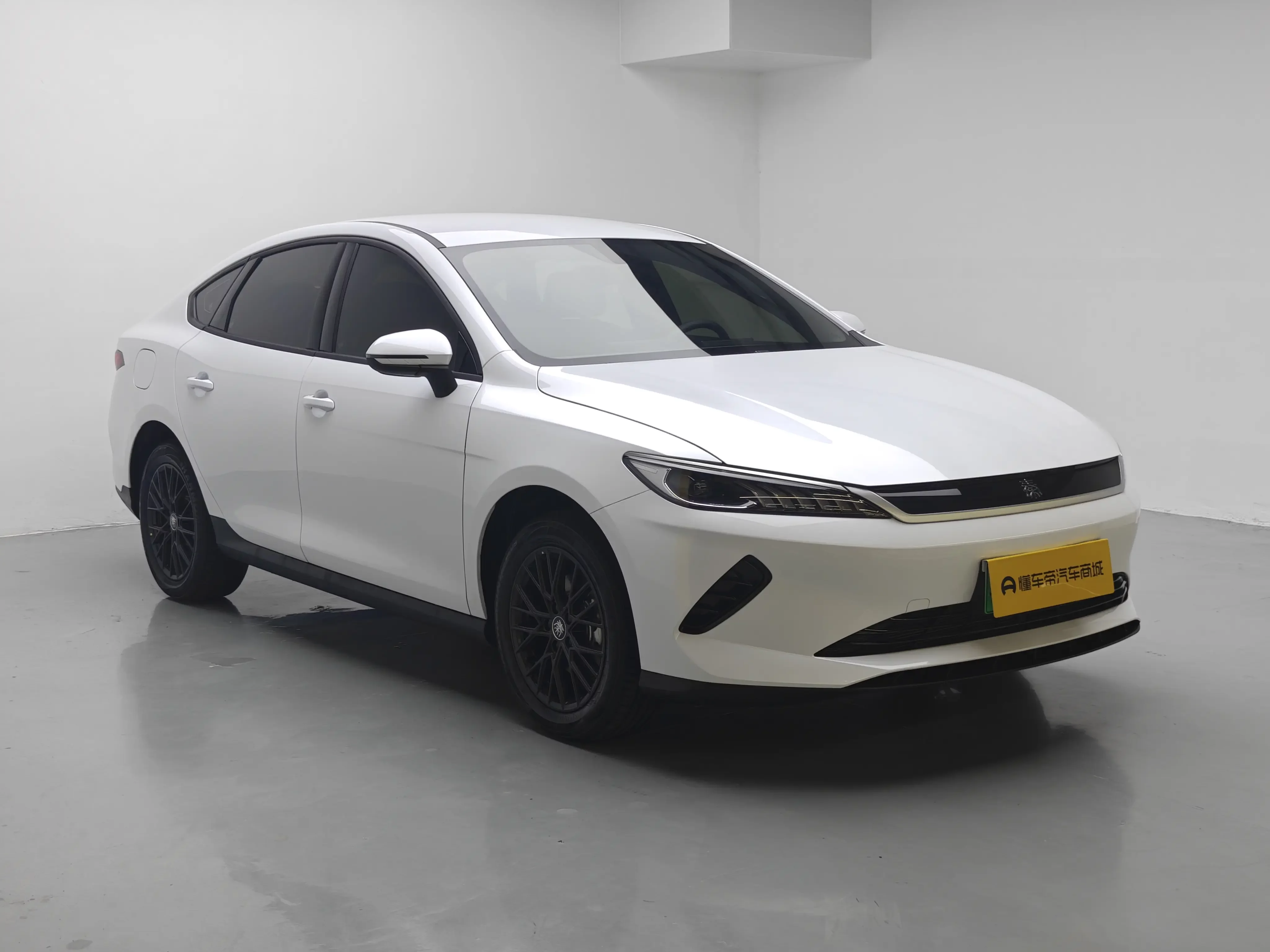 BYD Qin PLUS EV