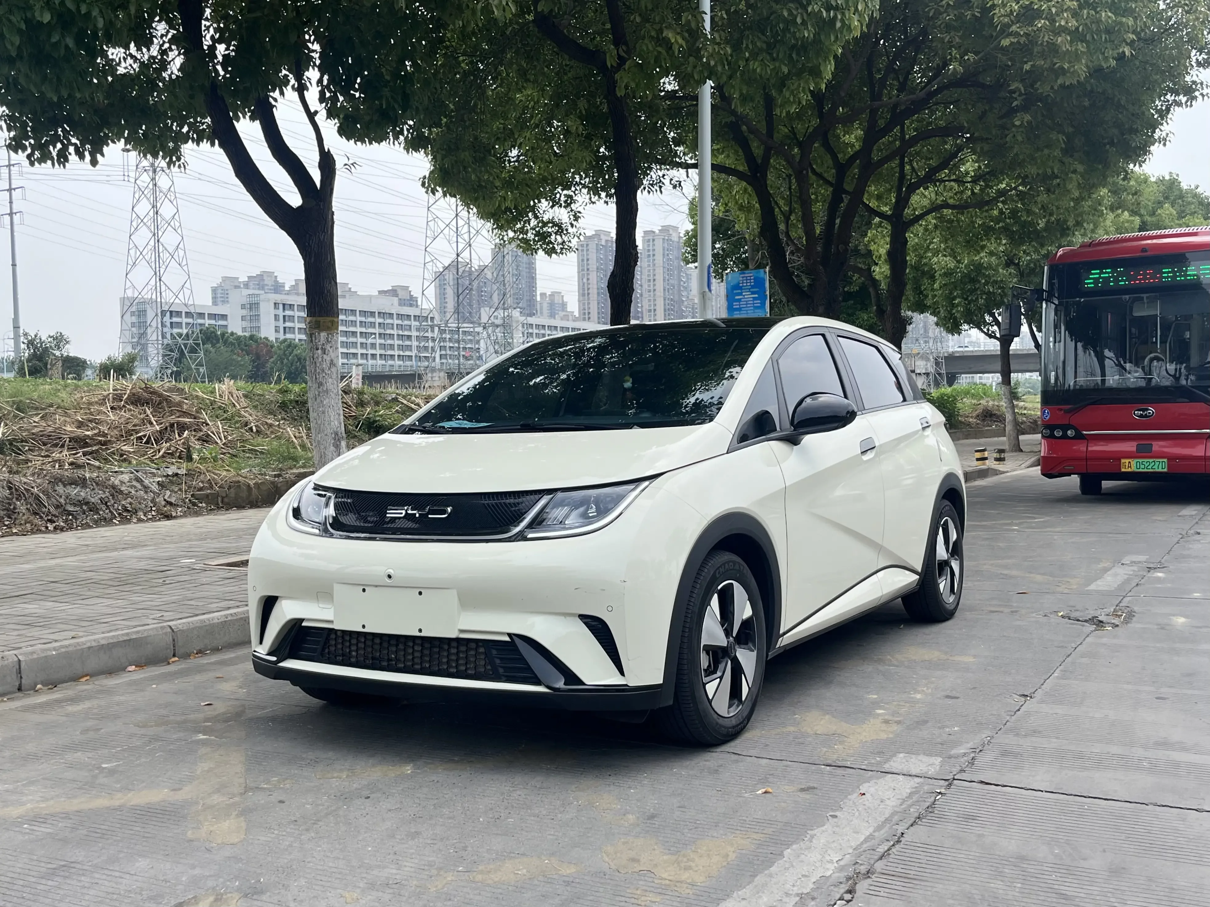 BYD dolphin