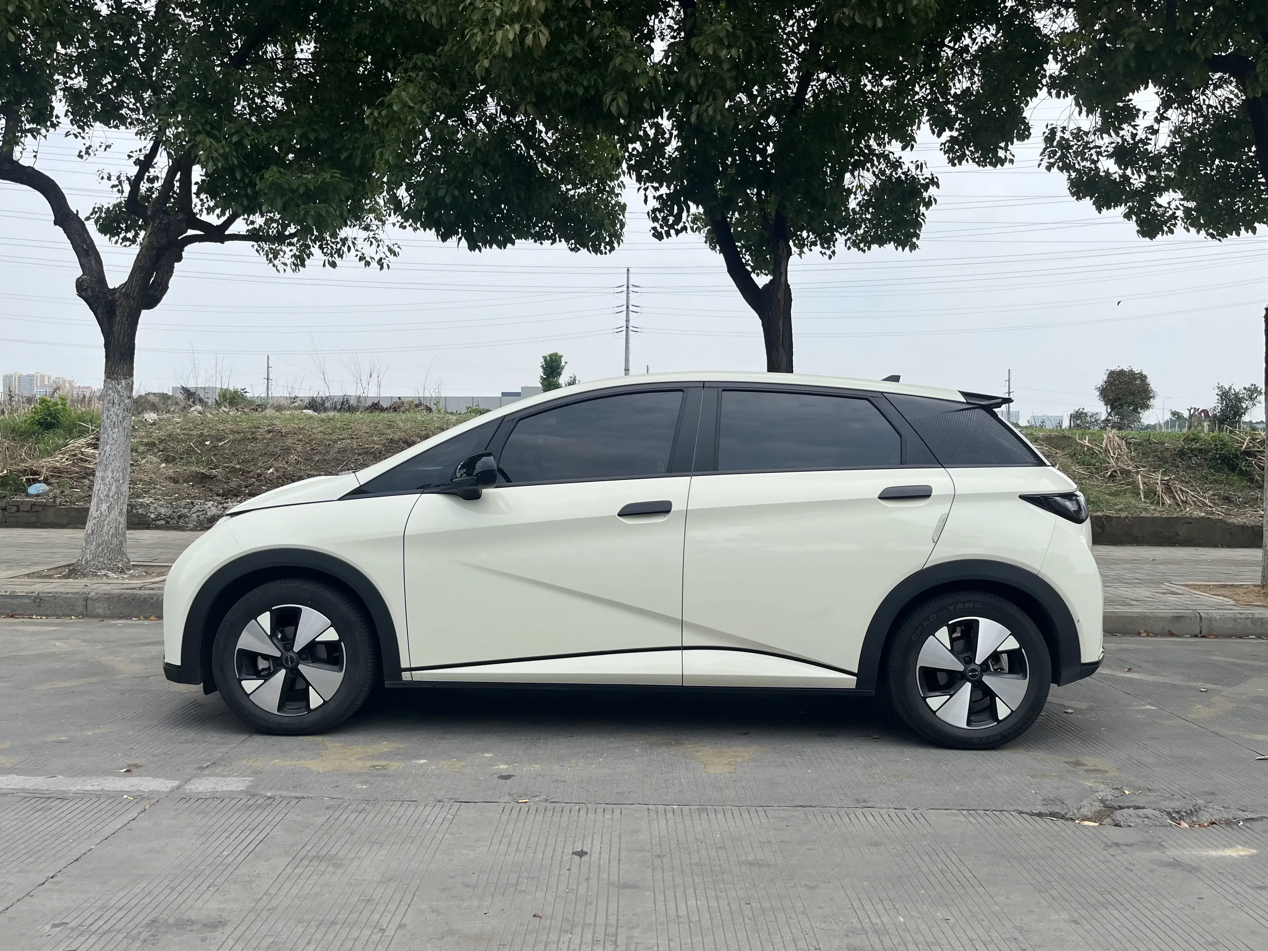 BYD dolphin