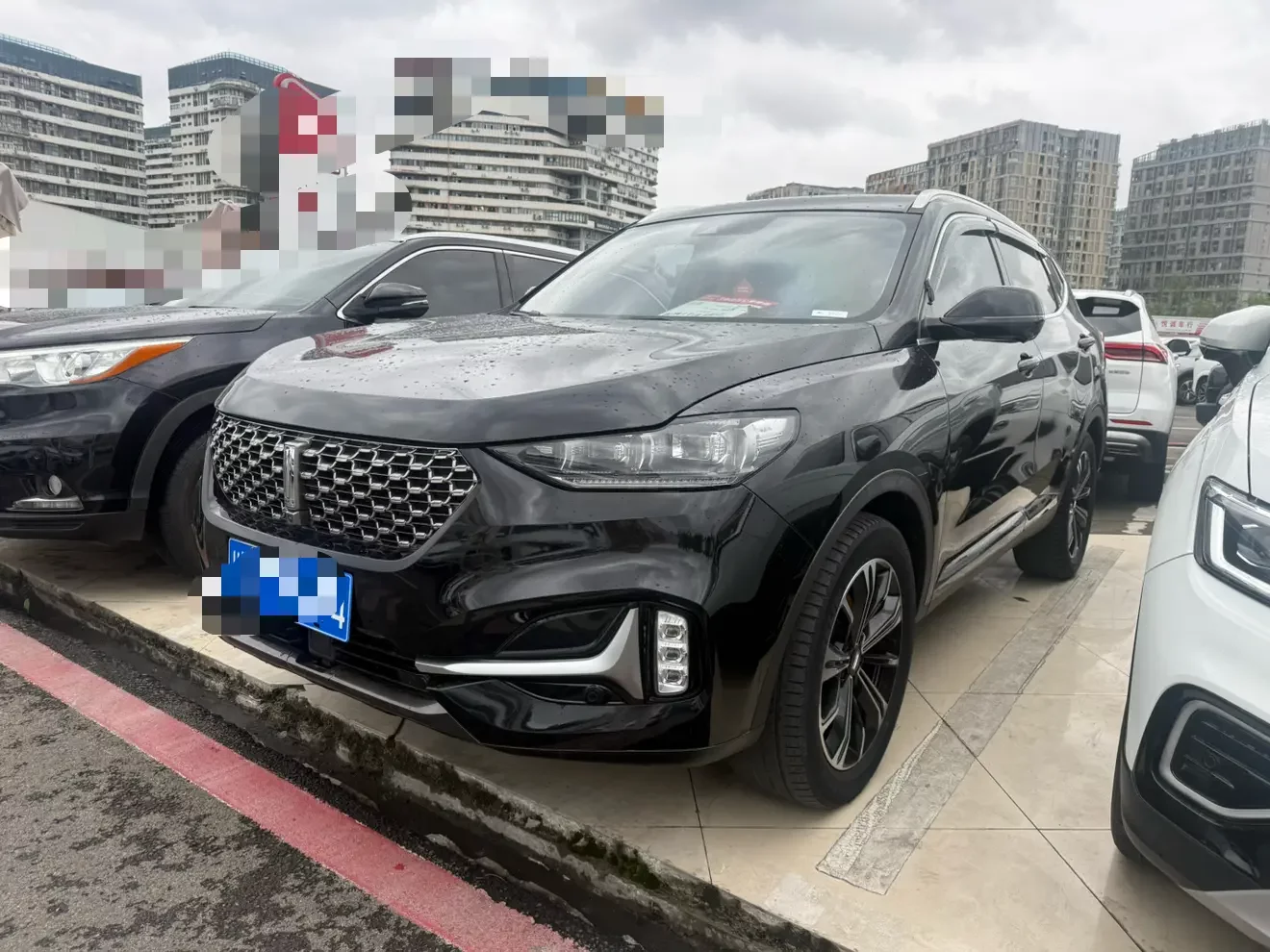 Wey Wei brand VV6