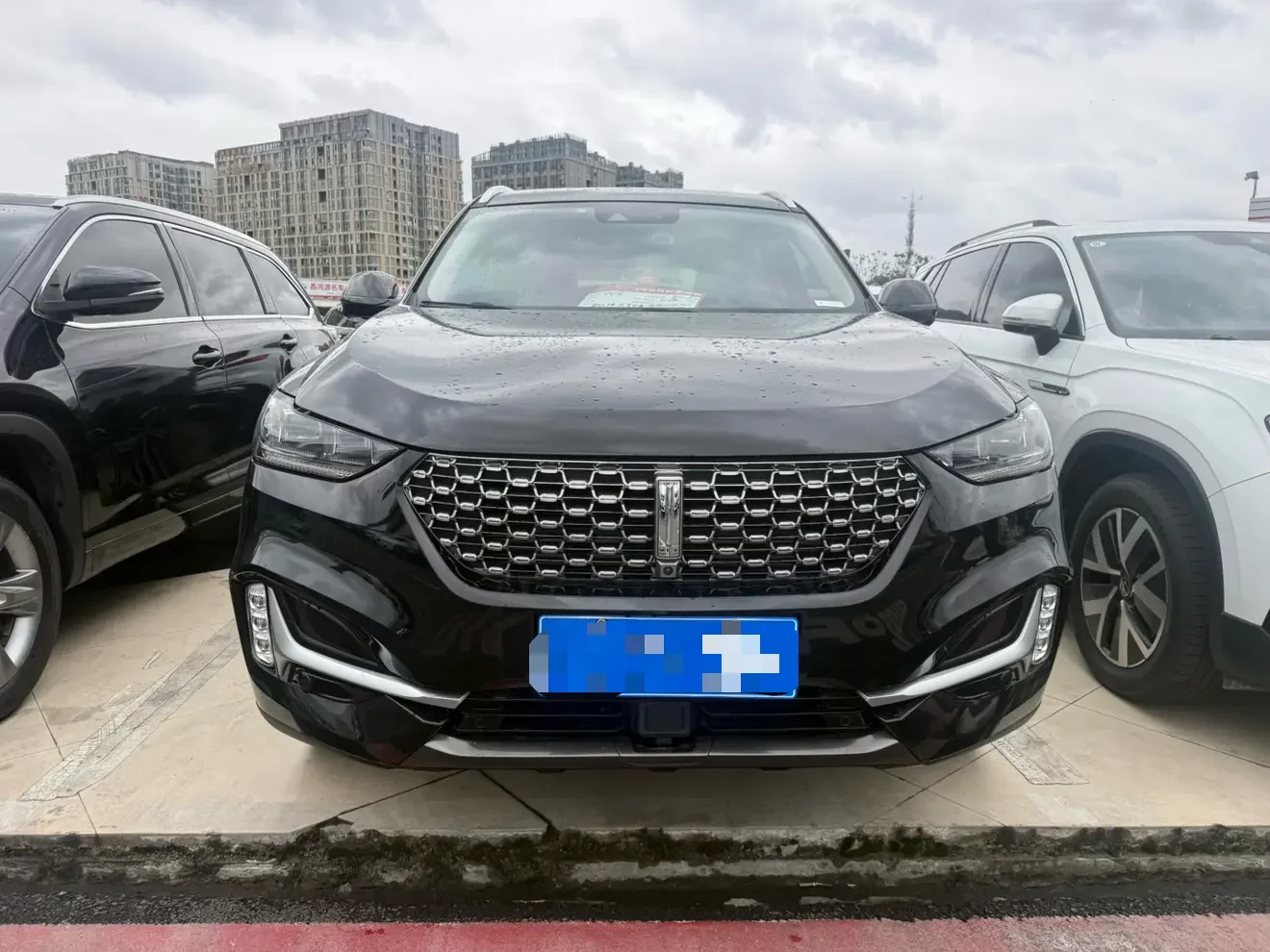 Wey Wei brand VV6