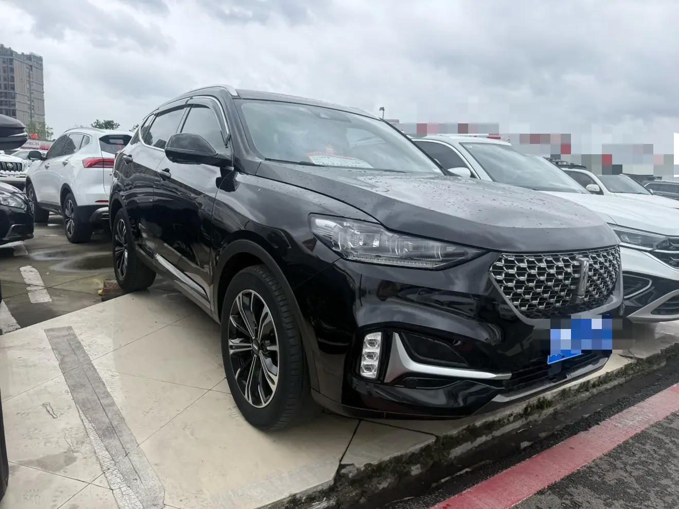 Wey Wei brand VV6