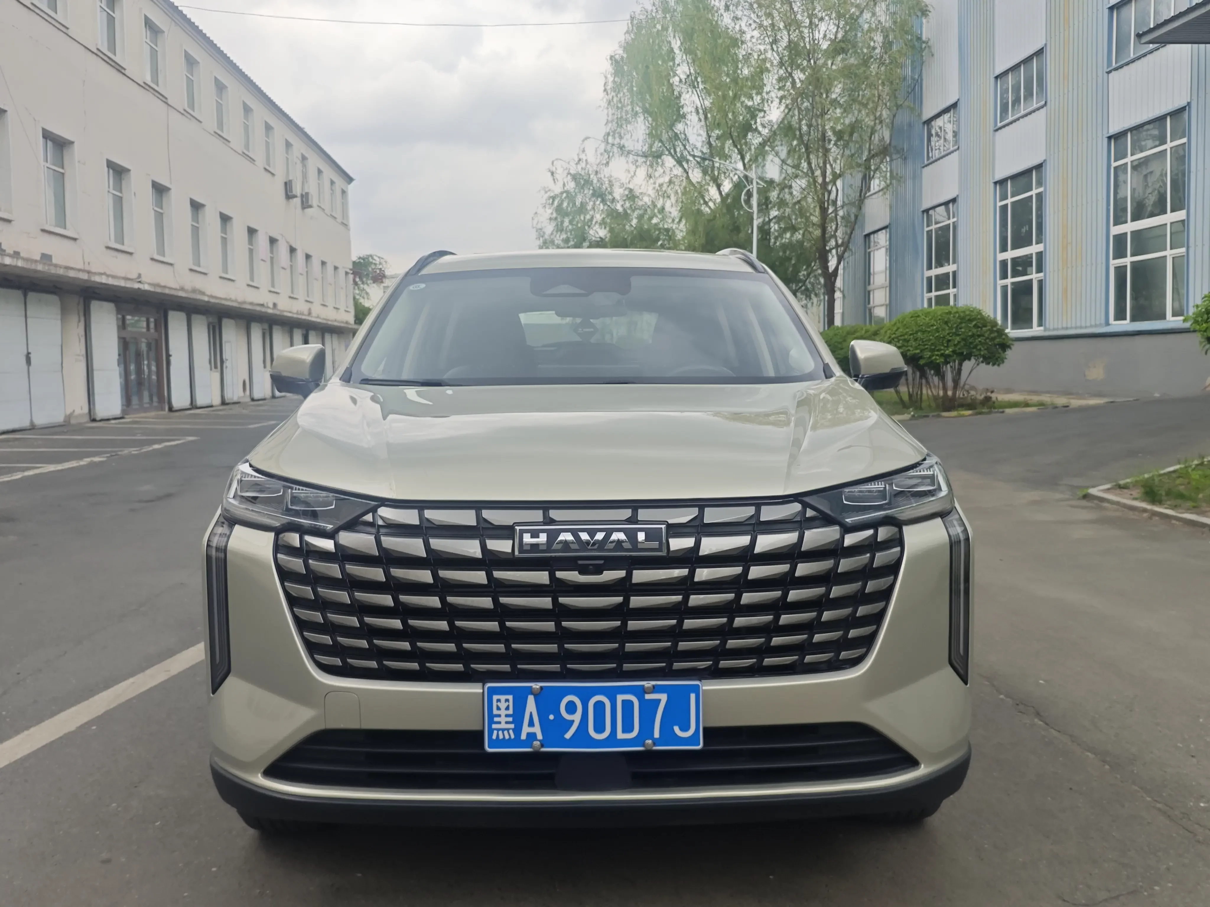 Haval H6