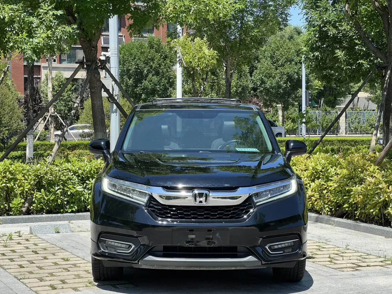 Honda Avancier