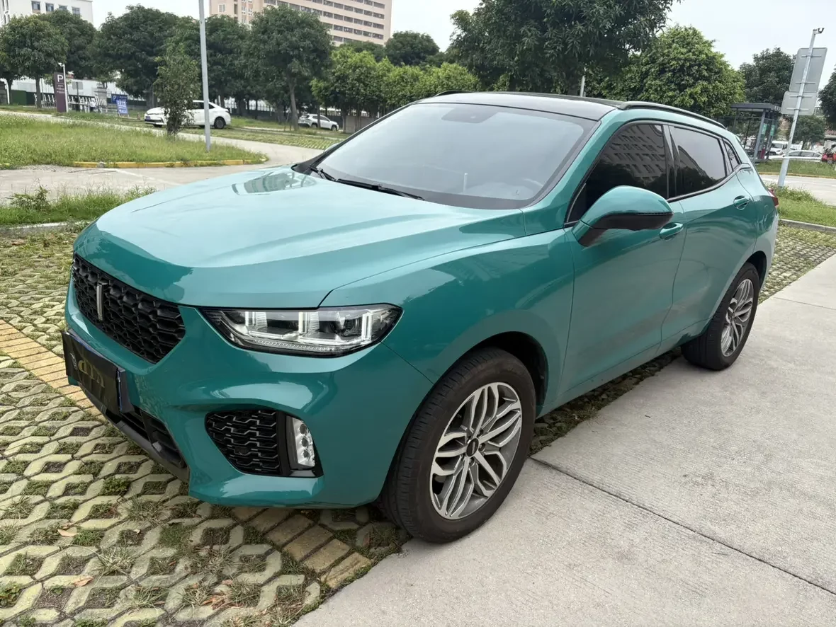 Wey Wei brand VV5