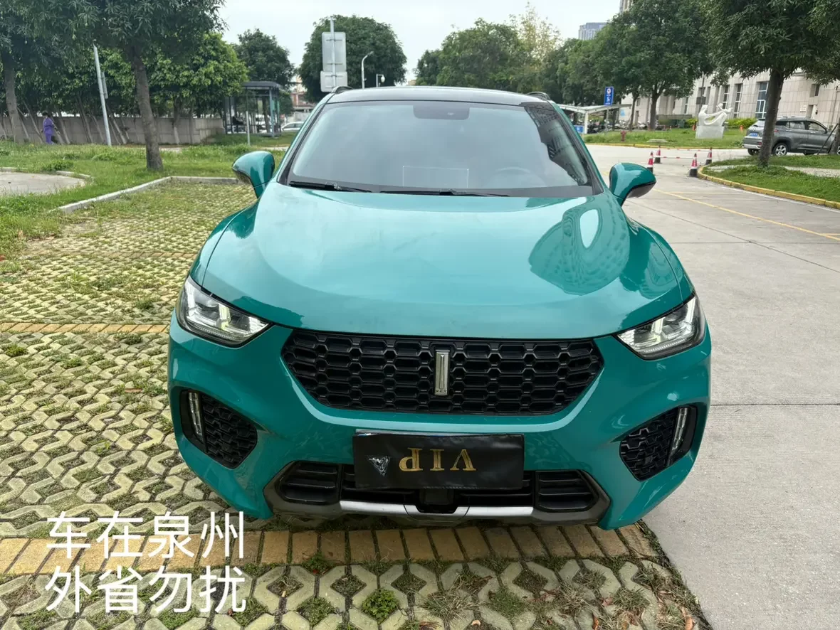Wey Wei brand VV5