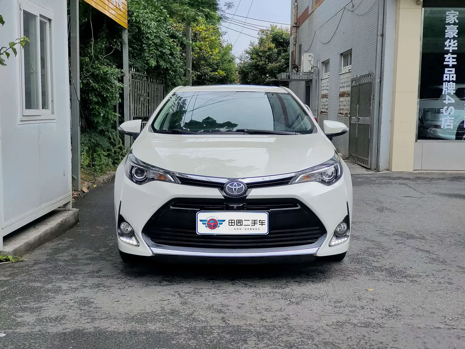 Toyota Levin