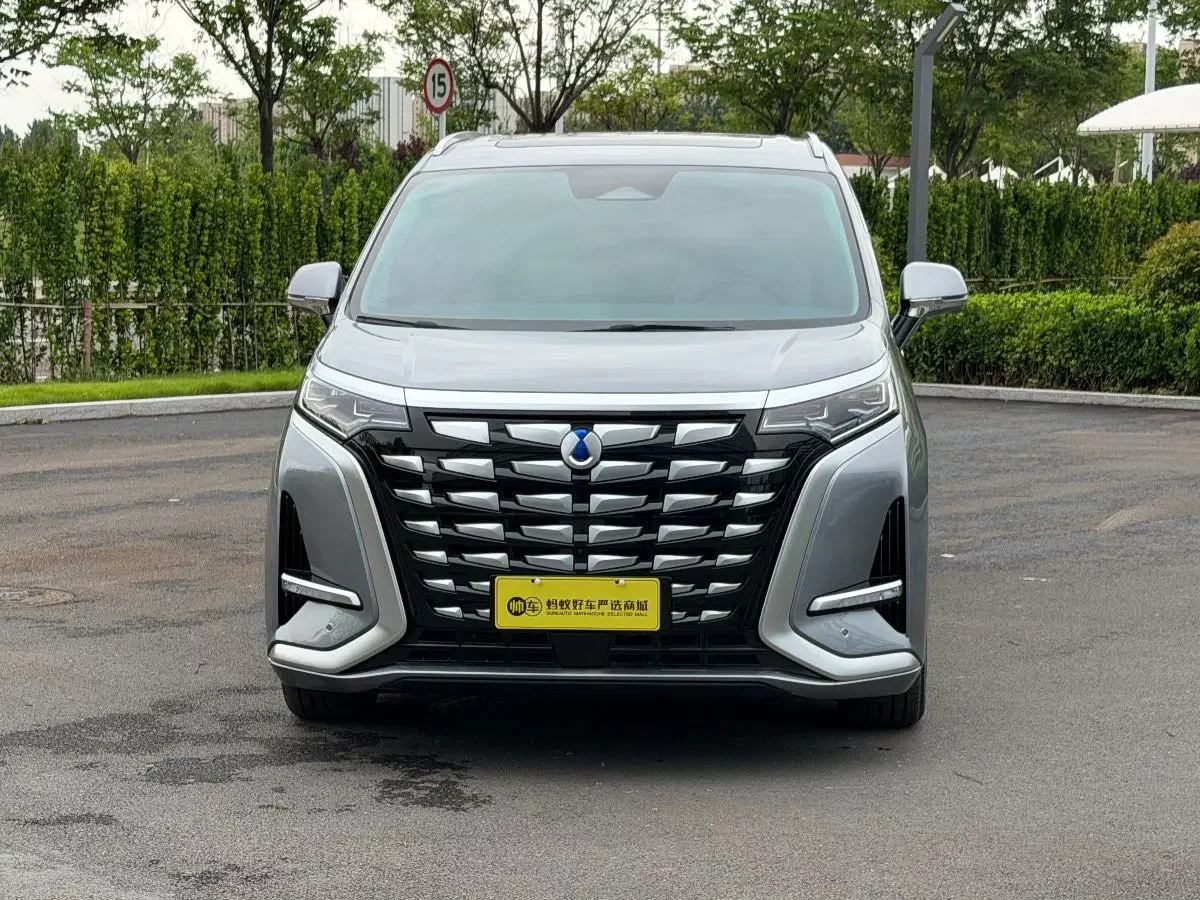 Denza D9 DM