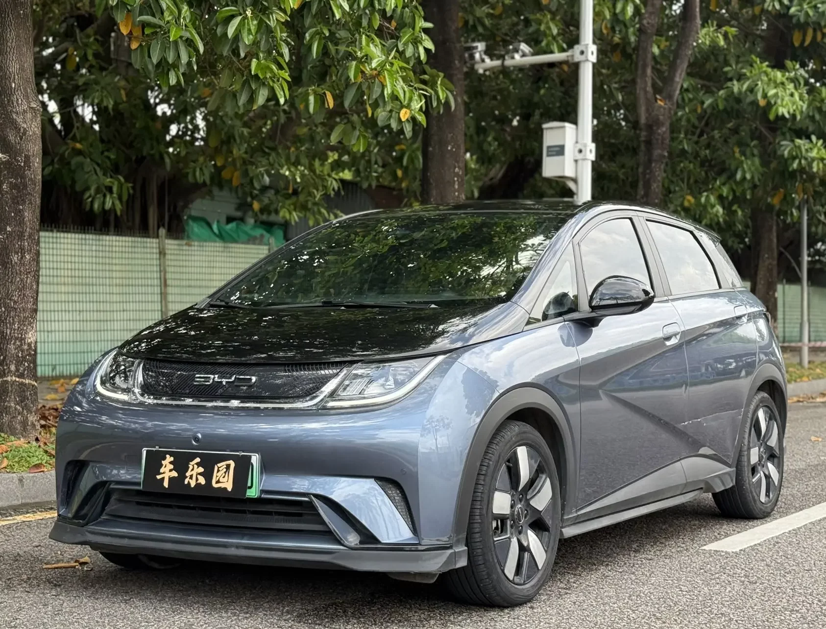 BYD dolphin