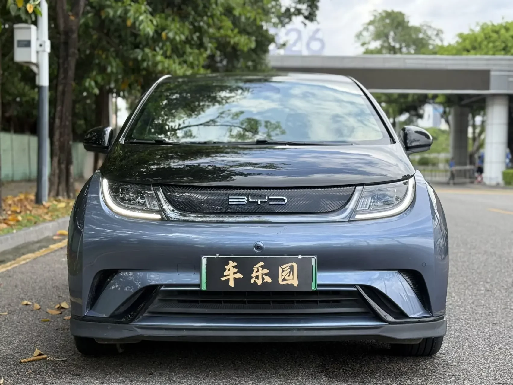 BYD dolphin