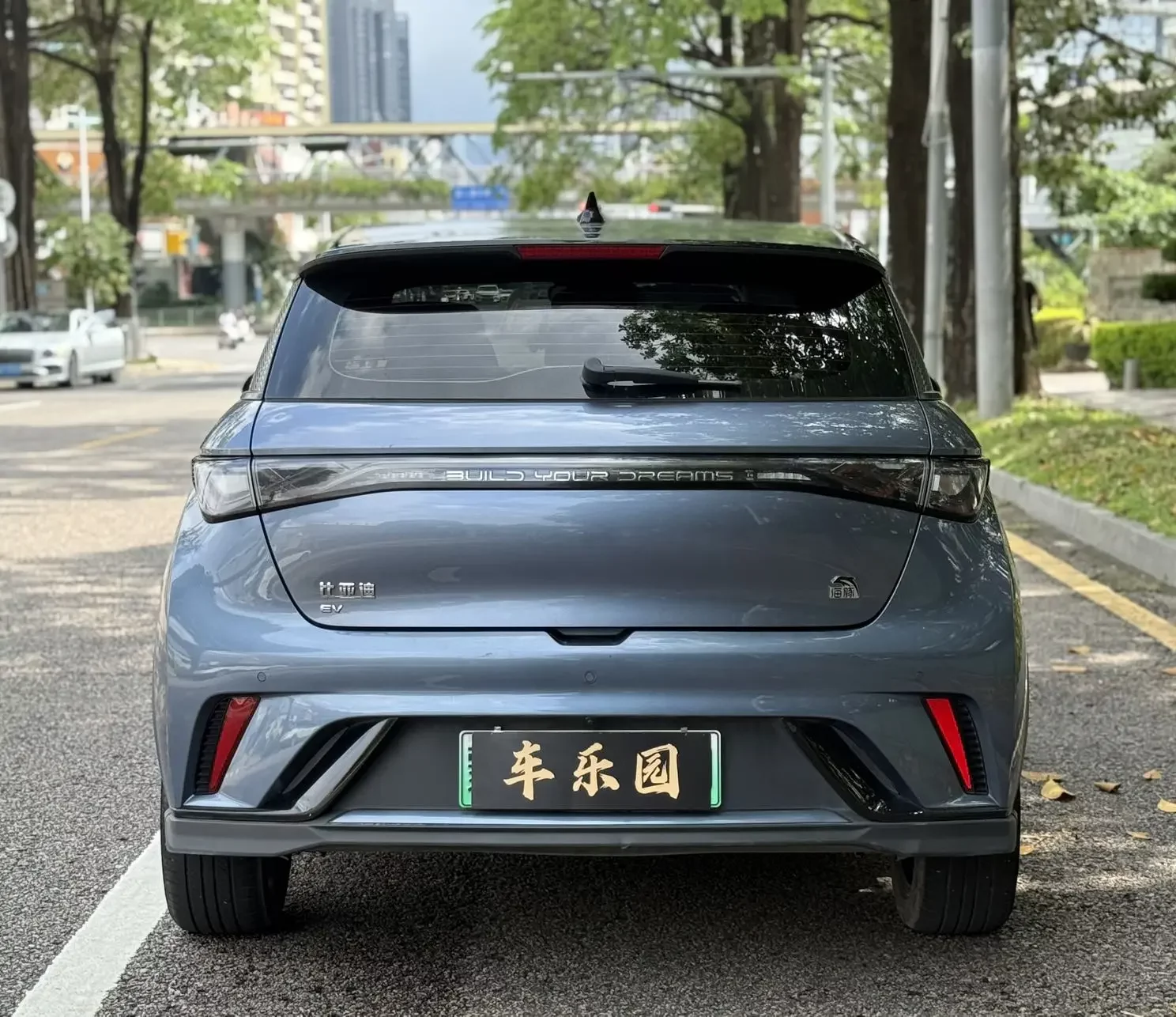 BYD dolphin
