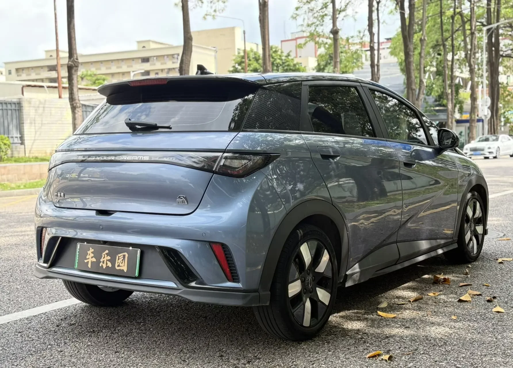 BYD dolphin