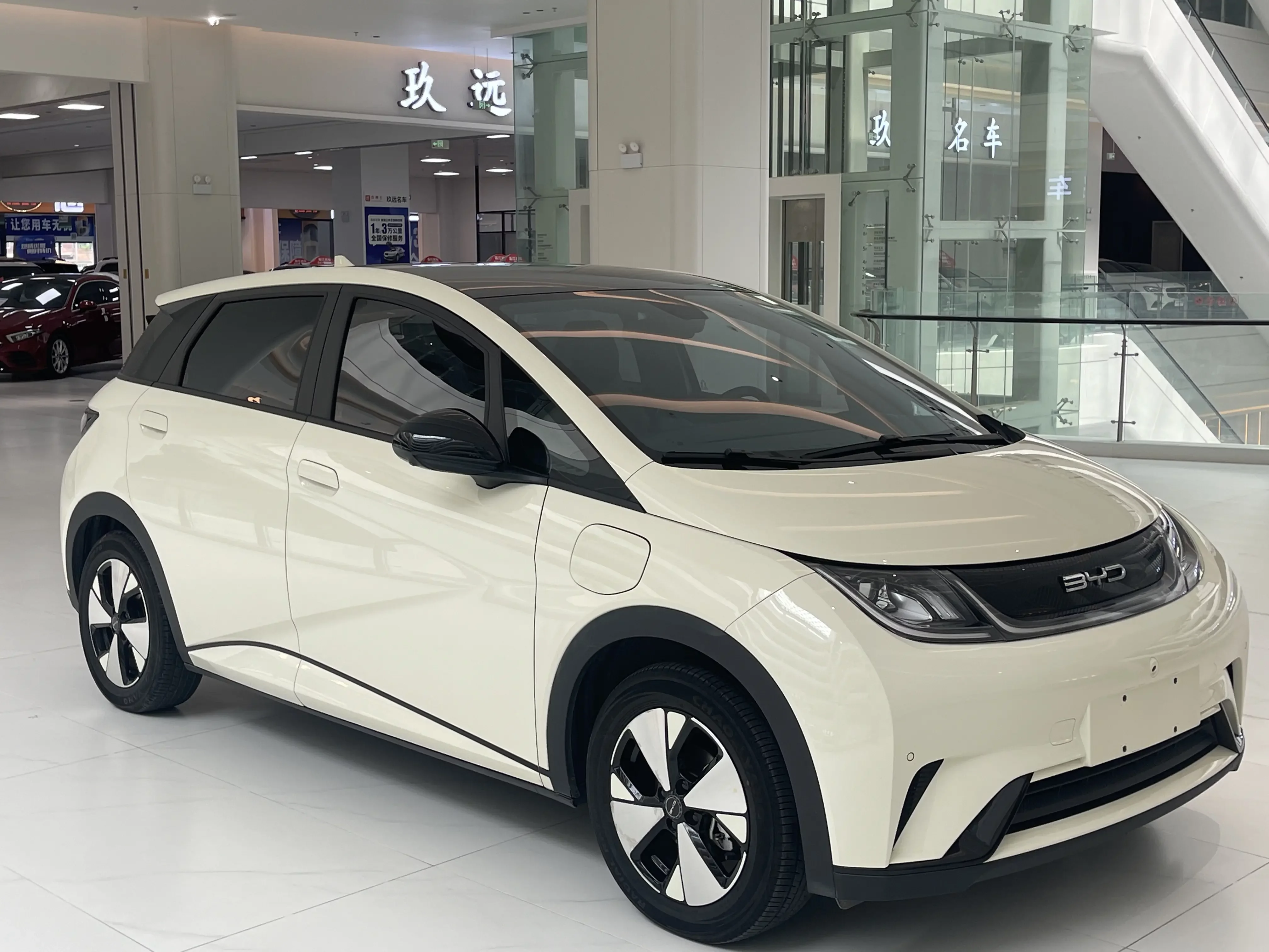 BYD dolphin