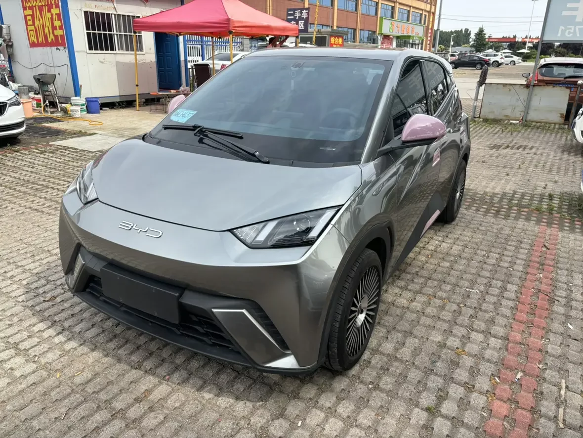 BYD seagull