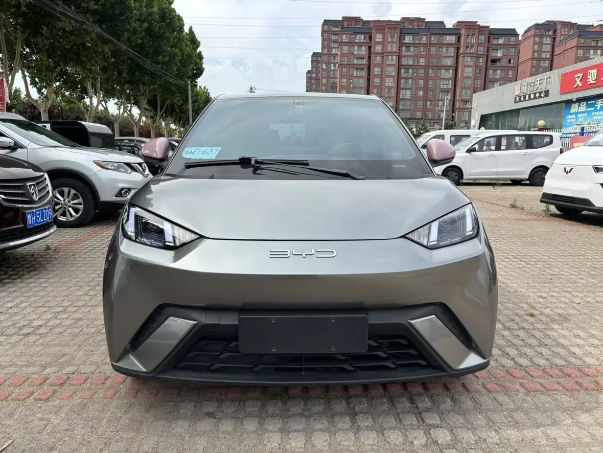 BYD seagull