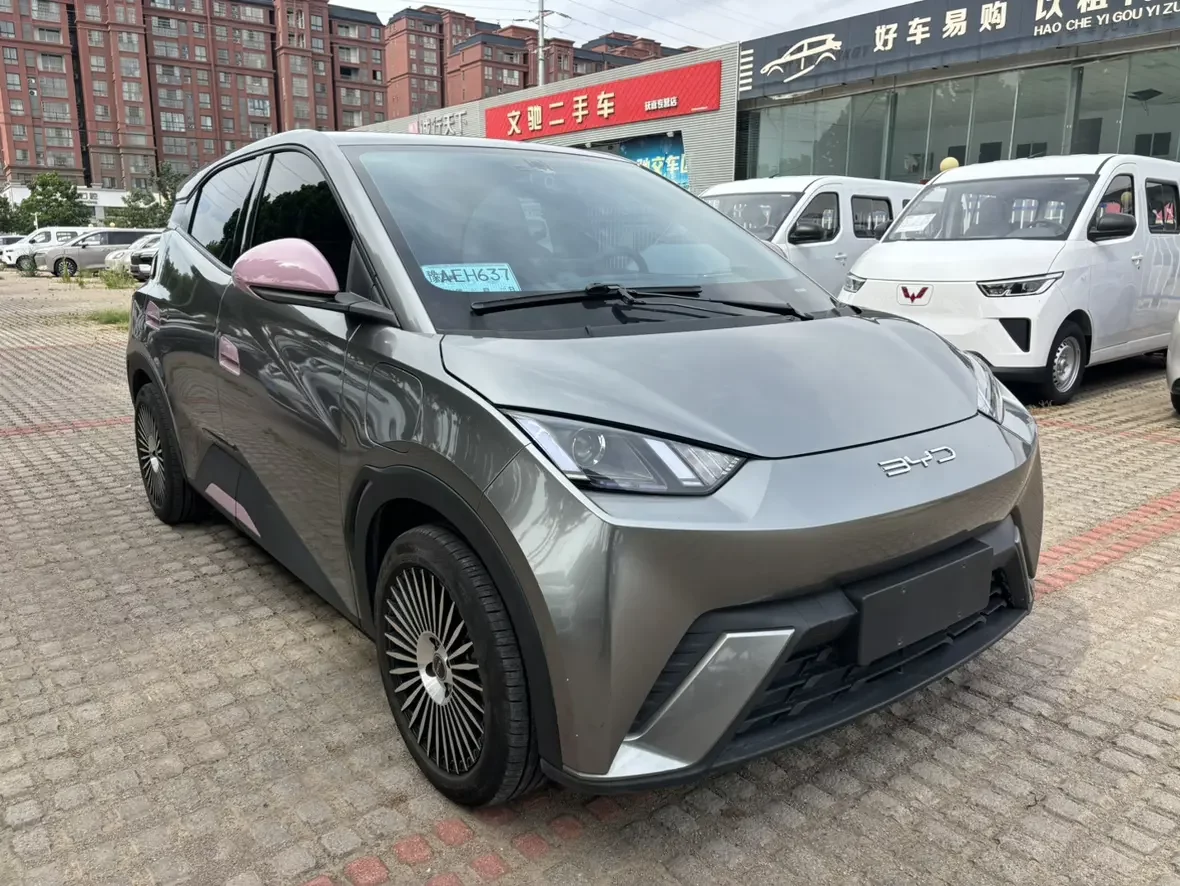 BYD seagull