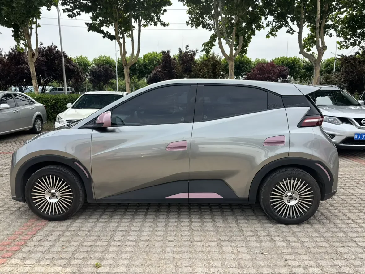 BYD seagull