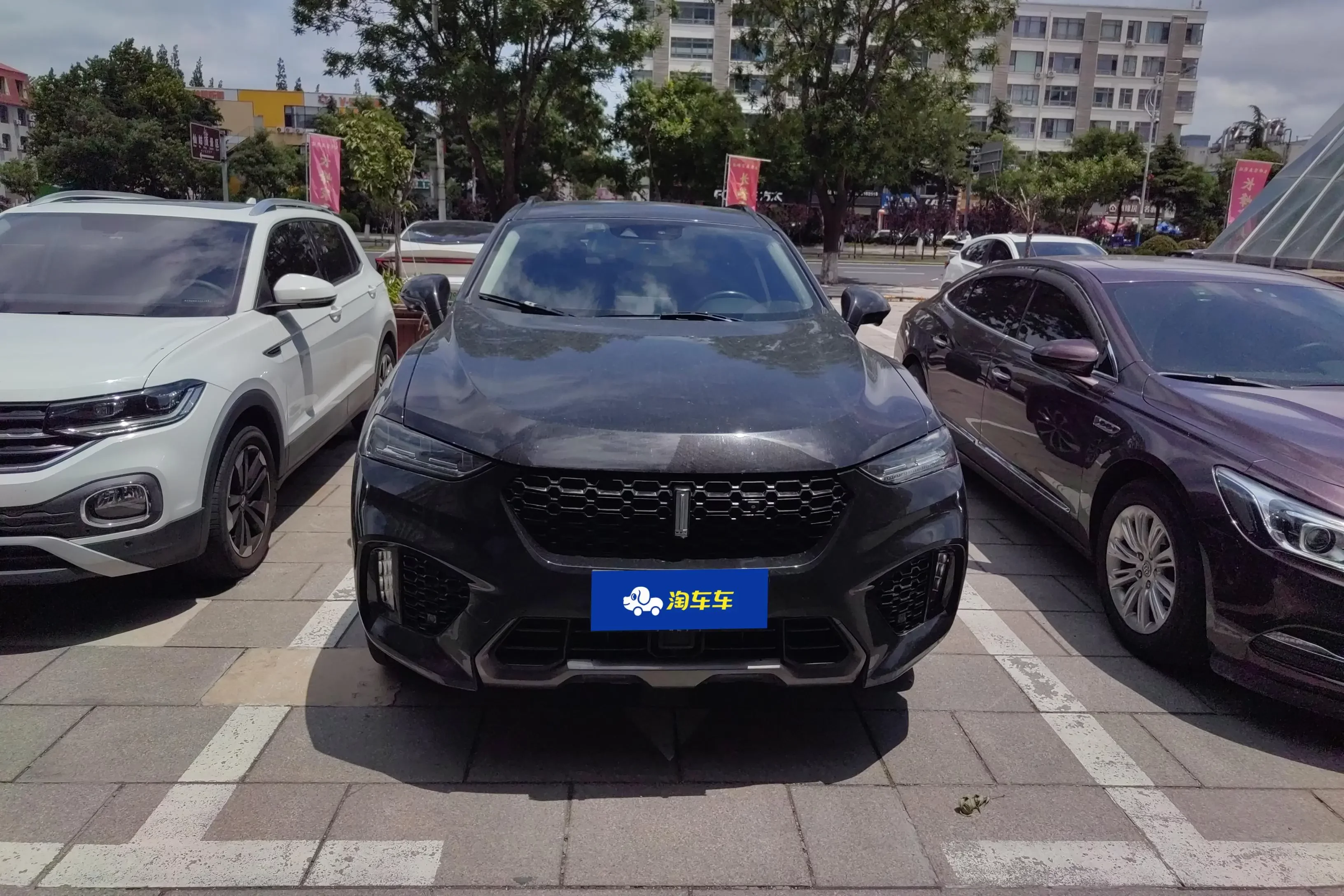 Wey Wei brand VV7