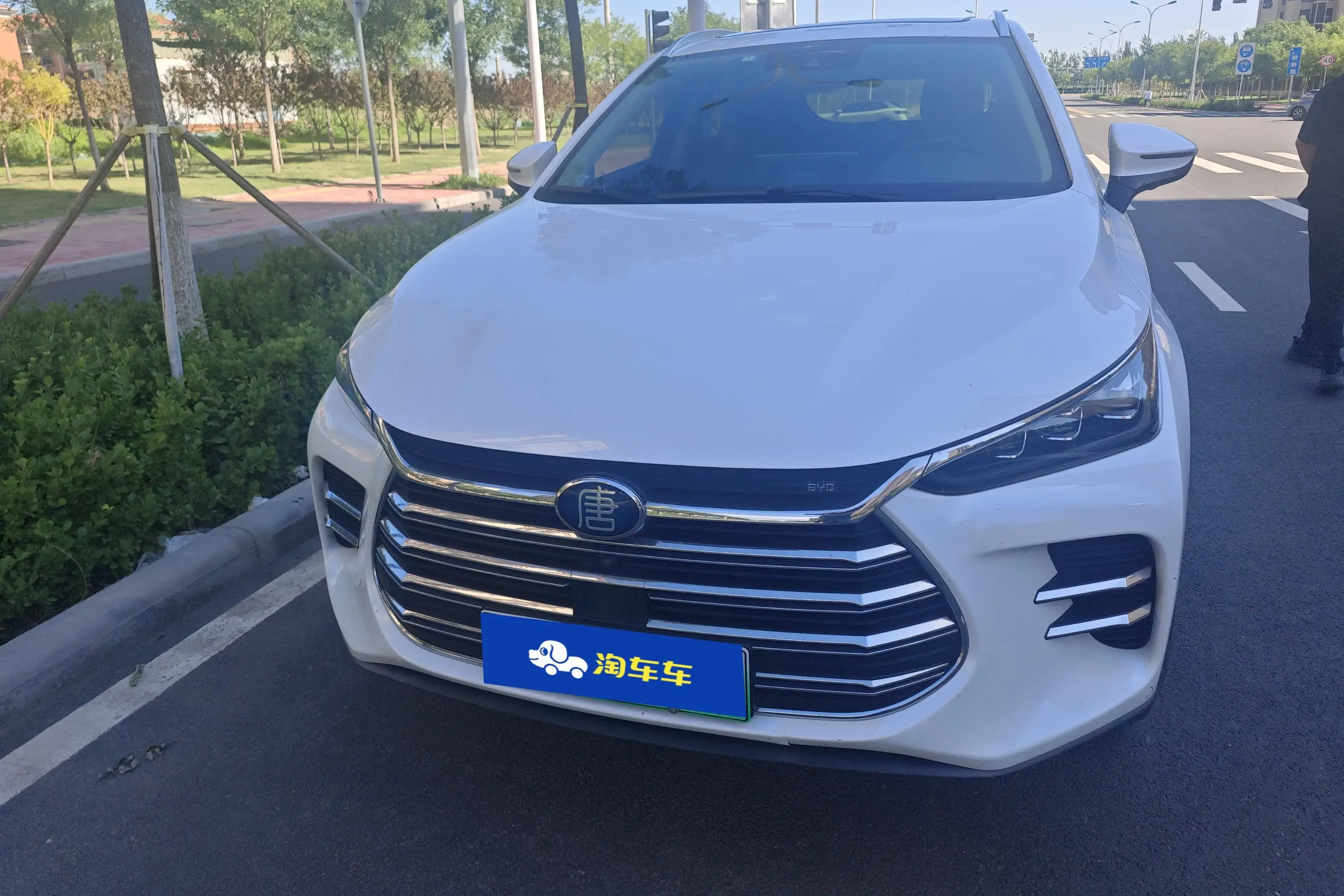 BYD Tang DM