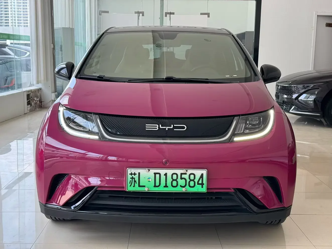 BYD dolphin