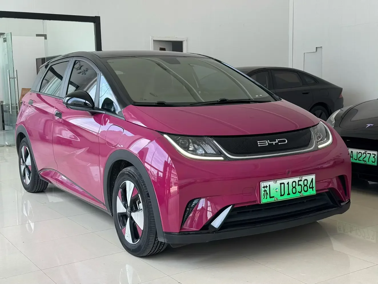 BYD dolphin