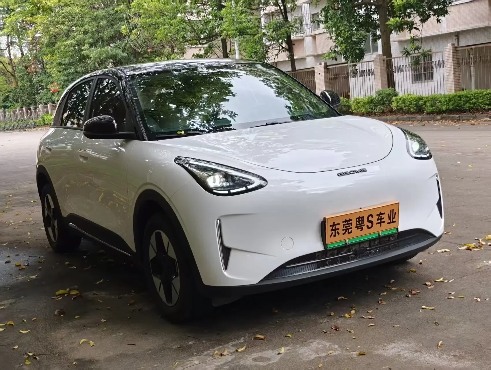 Geely Star Wish