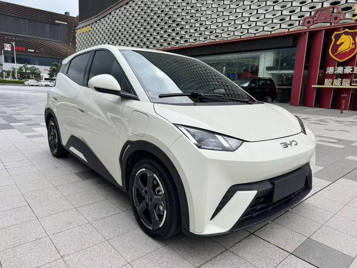 BYD seagull