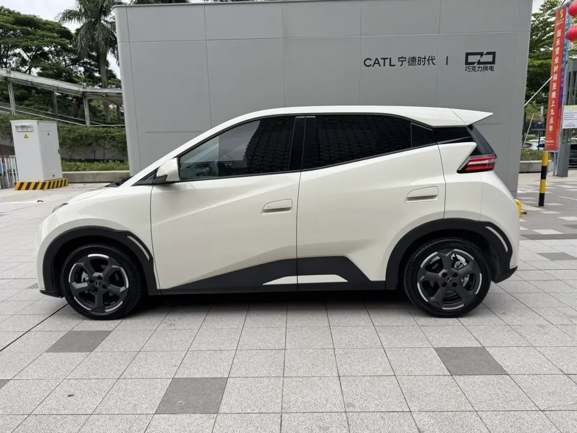 BYD seagull