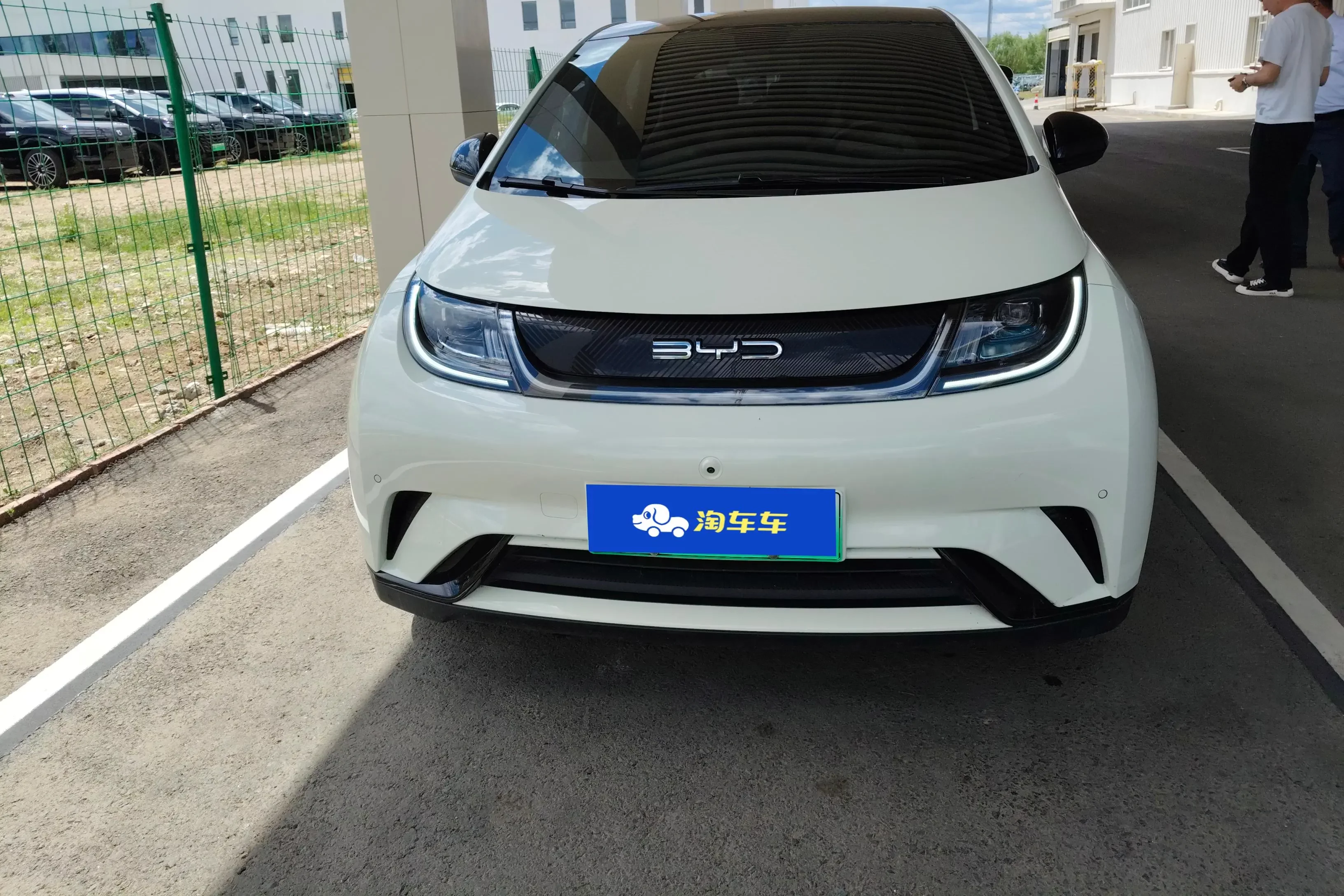 BYD dolphin