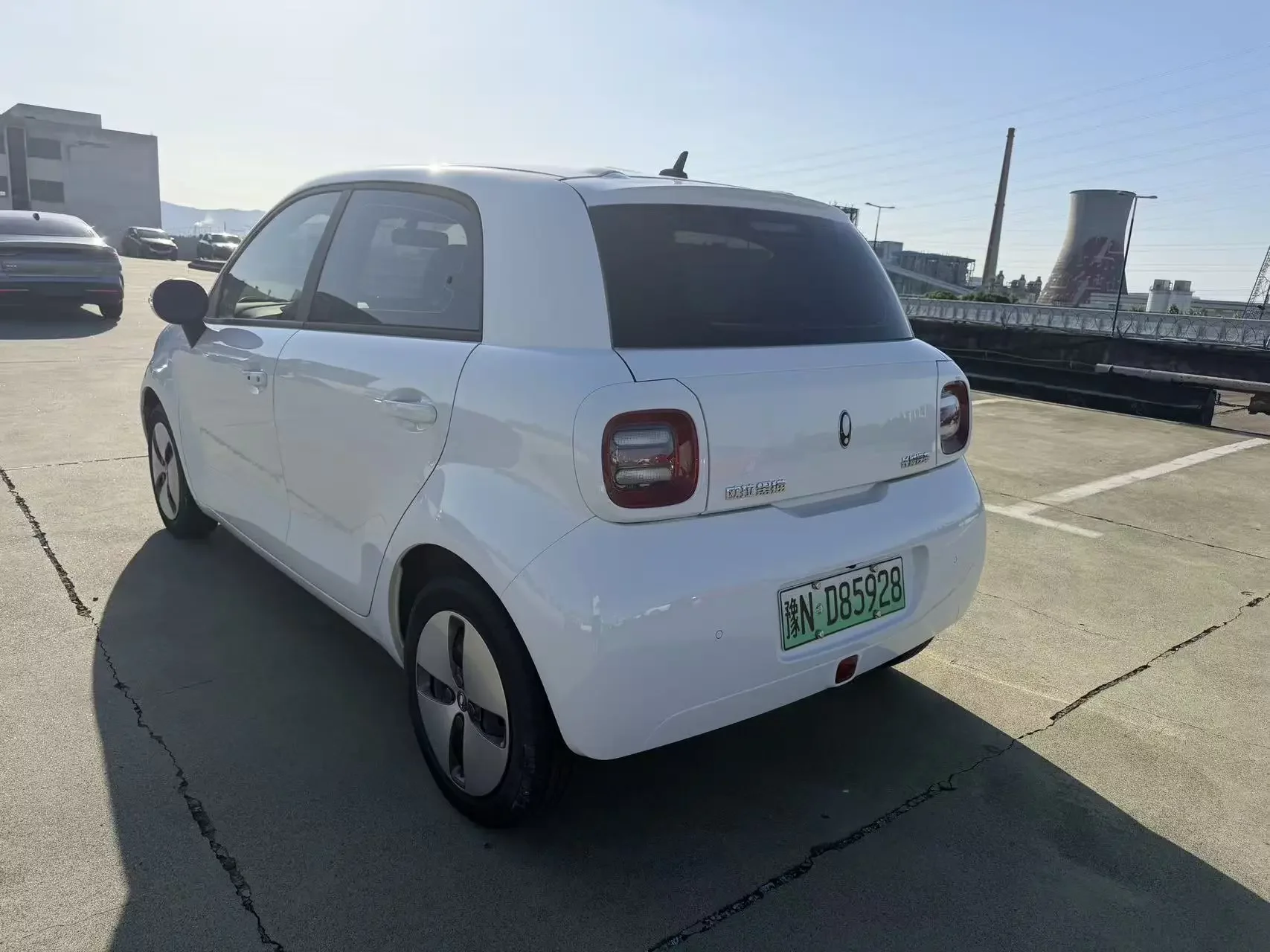 ORA Euler black cat